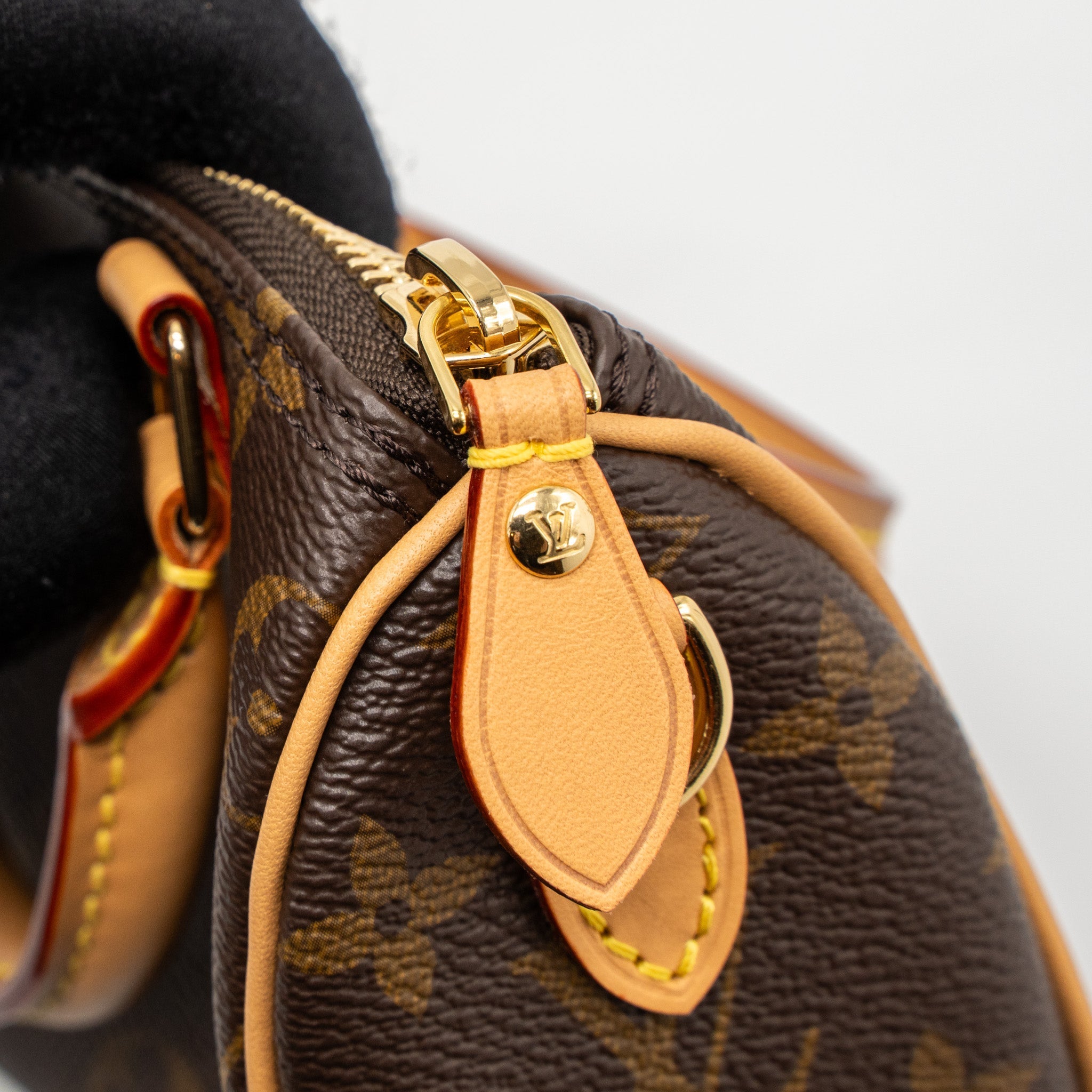 LOUIS VUITTON NANO SPEEDY MONOGRAM CANVAS GHW