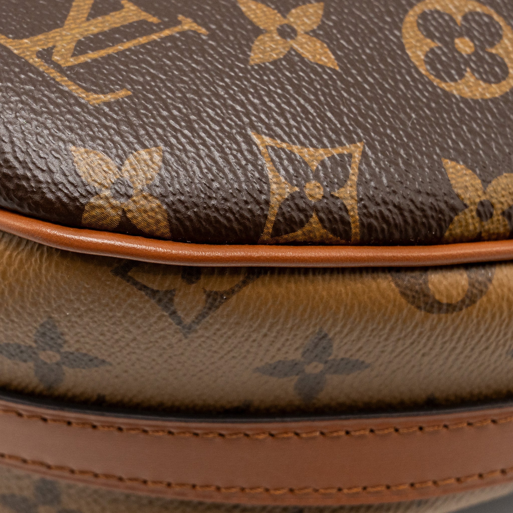 LOUIS VUITTON LOOP HOBO MONOGRAM CANVAS/CALFSKIN GHW