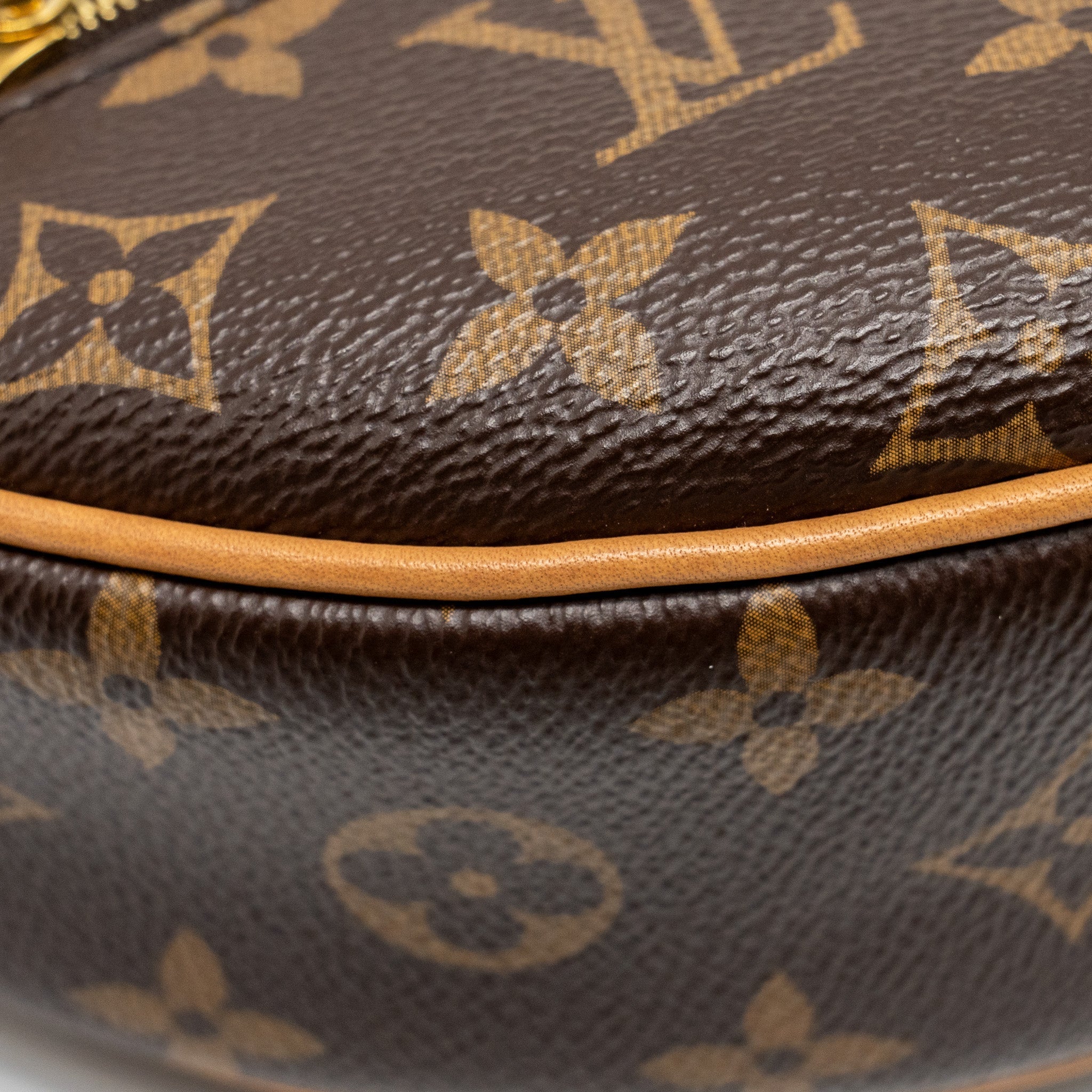 LOUIS VUITTON HALF-MOON LOOP BAG MONOGRAM CANVAS GHW