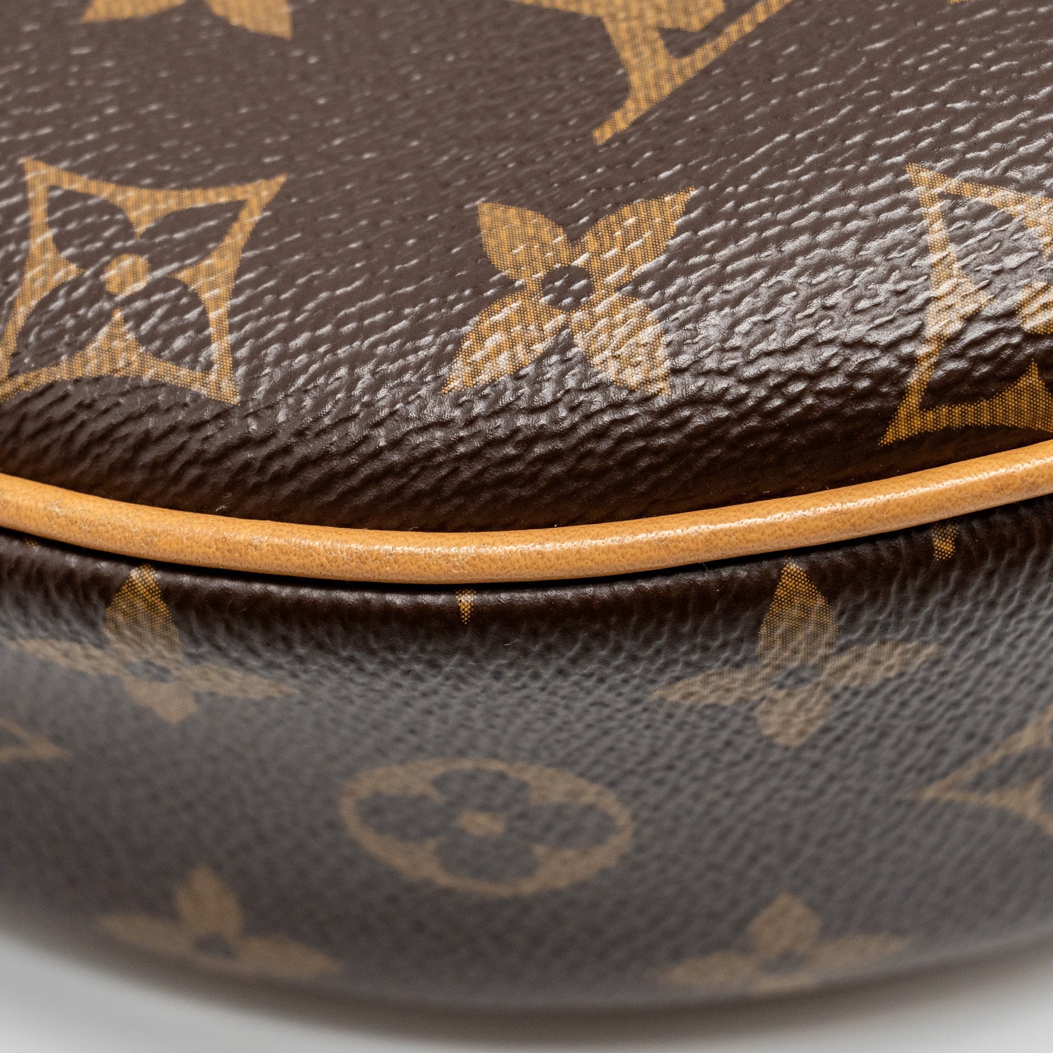 LOUIS VUITTON HALF-MOON LOOP BAG MONOGRAM CANVAS GHW