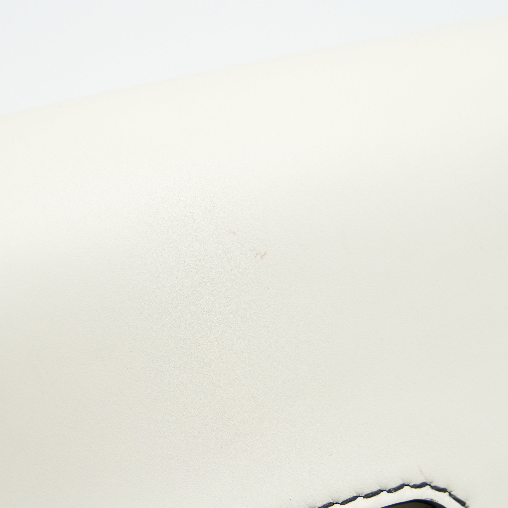DIOR EVOLUTION BAG WHITE GHW