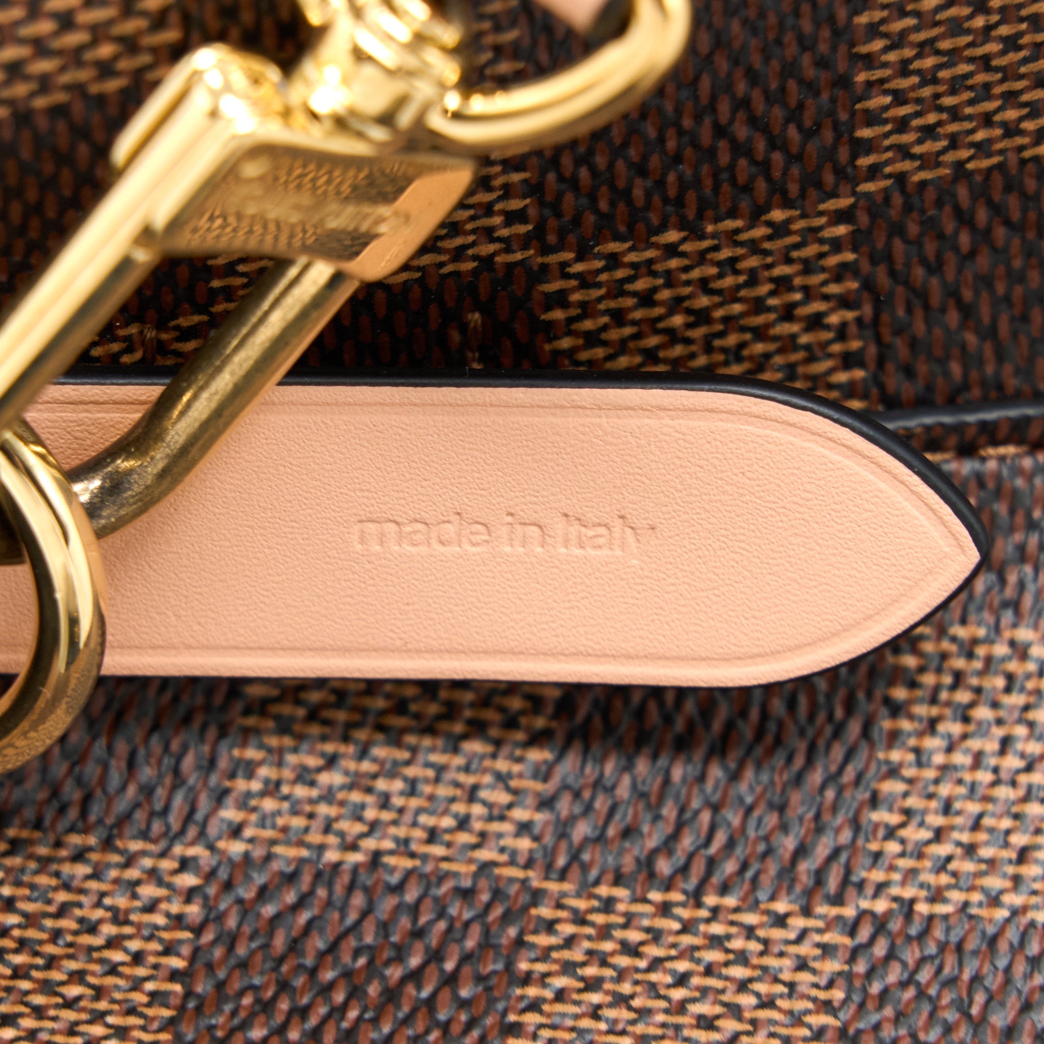 LOUIS VUITTON NEONOE DAMIER EBENE CANVAS VENUS GHW (NEW VERSION)