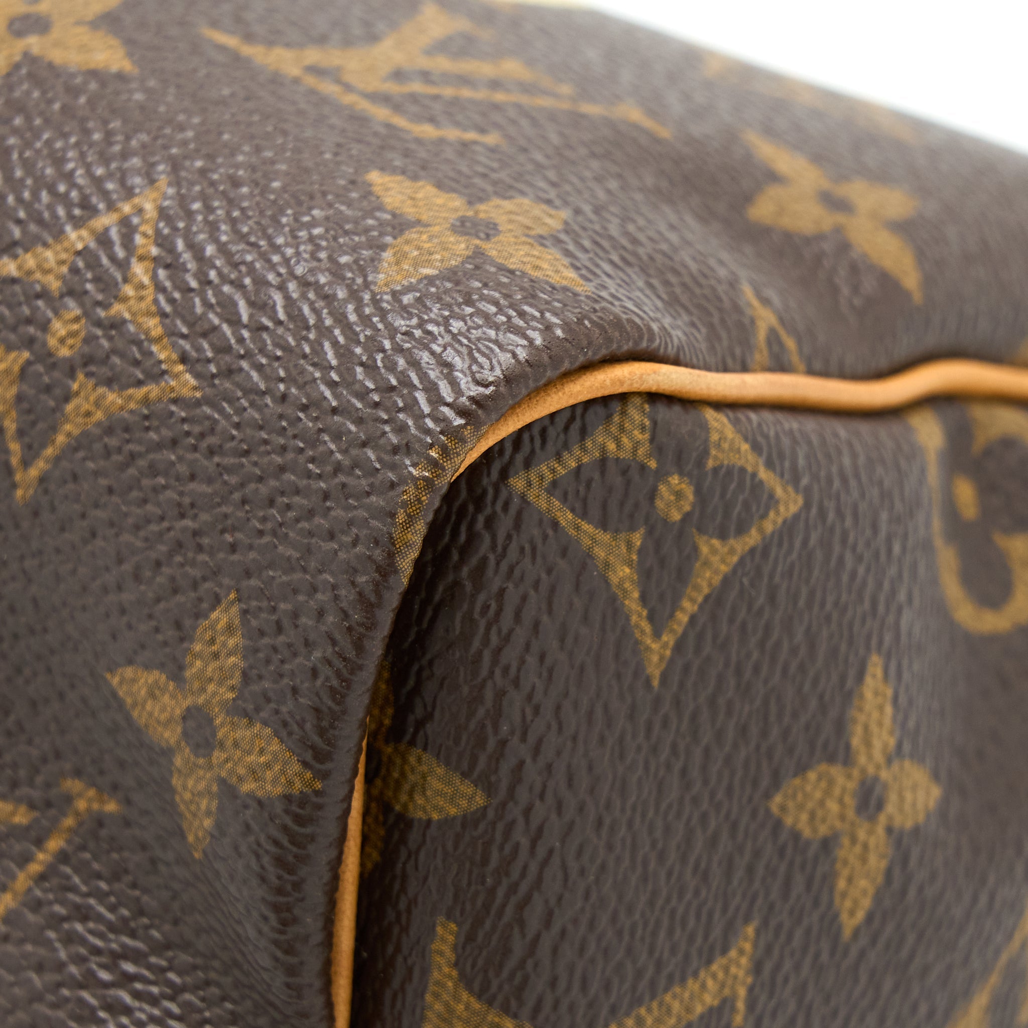 LOUIS VUITTON SPEEDY 30 LIMITED EDITION MONOGRAM CANVAS GHW