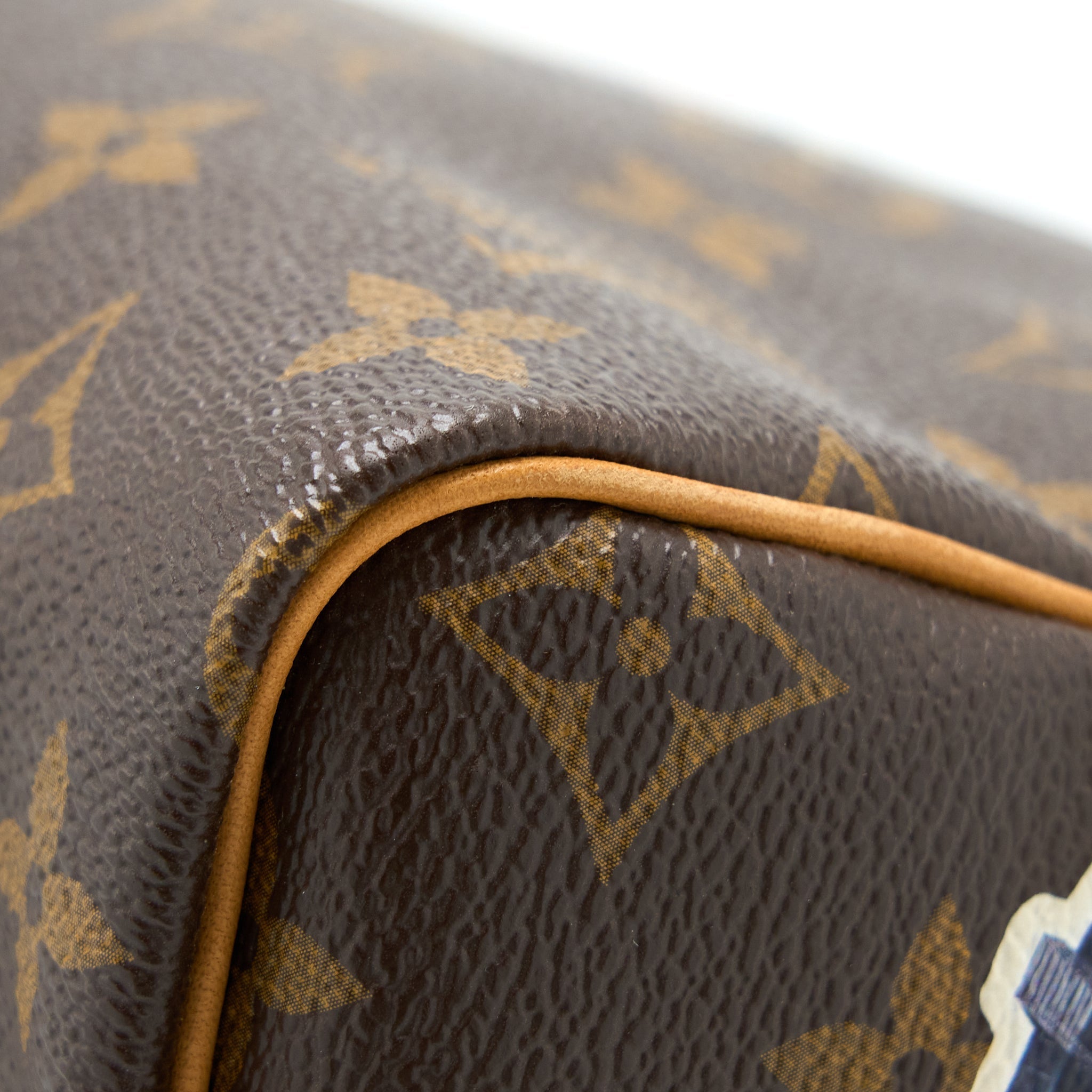 LOUIS VUITTON SPEEDY 30 LIMITED EDITION MONOGRAM CANVAS GHW