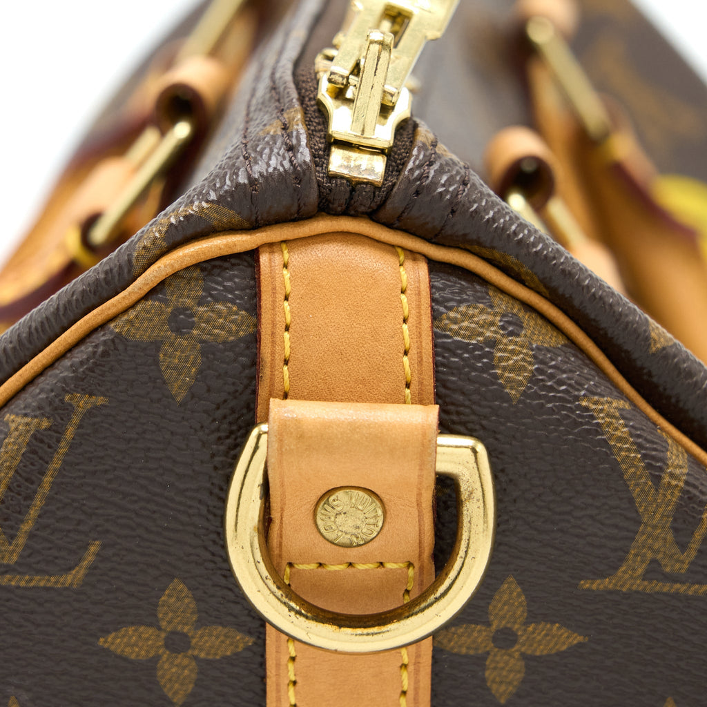 LOUIS VUITTON SPEEDY 30 LIMITED EDITION MONOGRAM CANVAS GHW