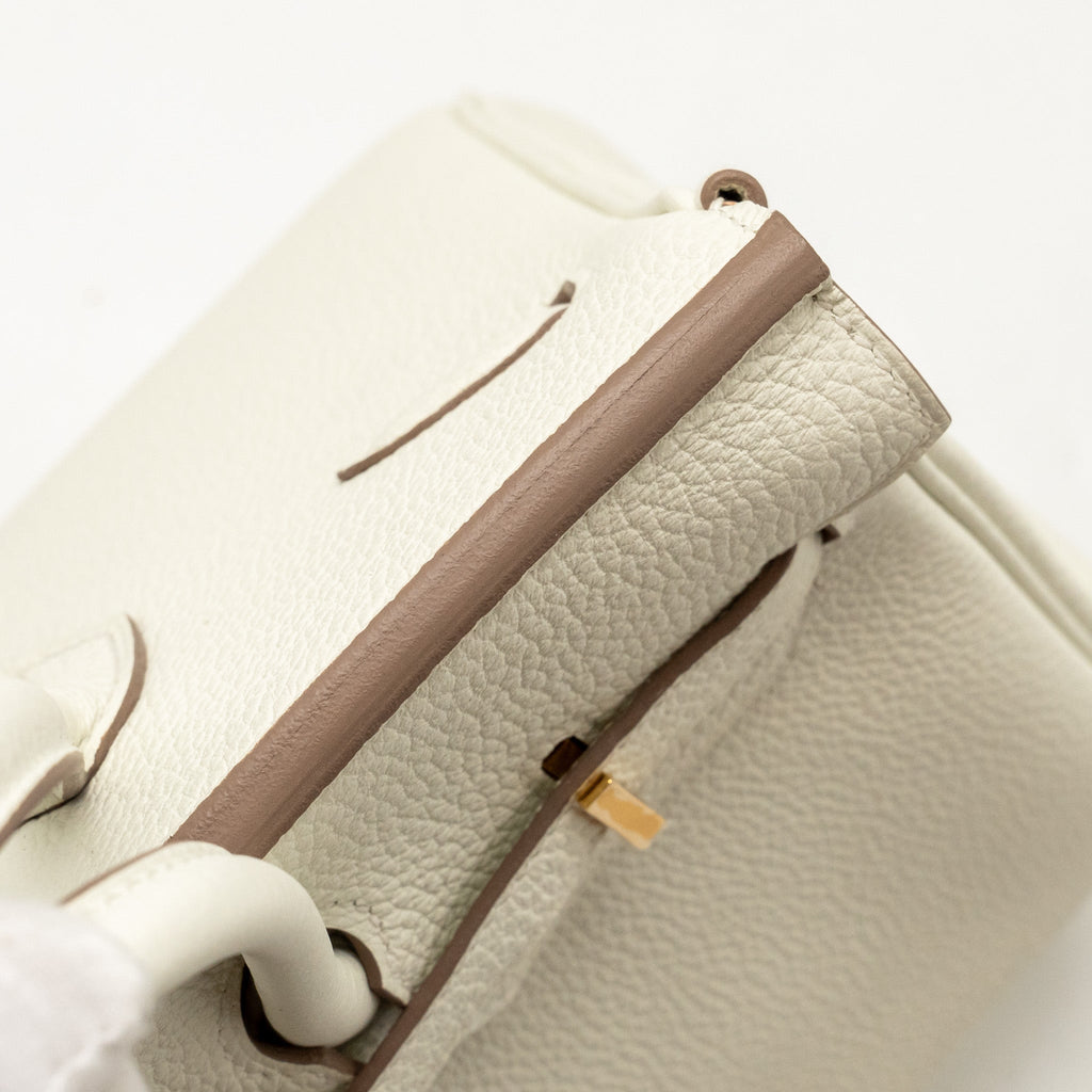HERMES BIRKIN 25 TOGO MUSHROOM GHW