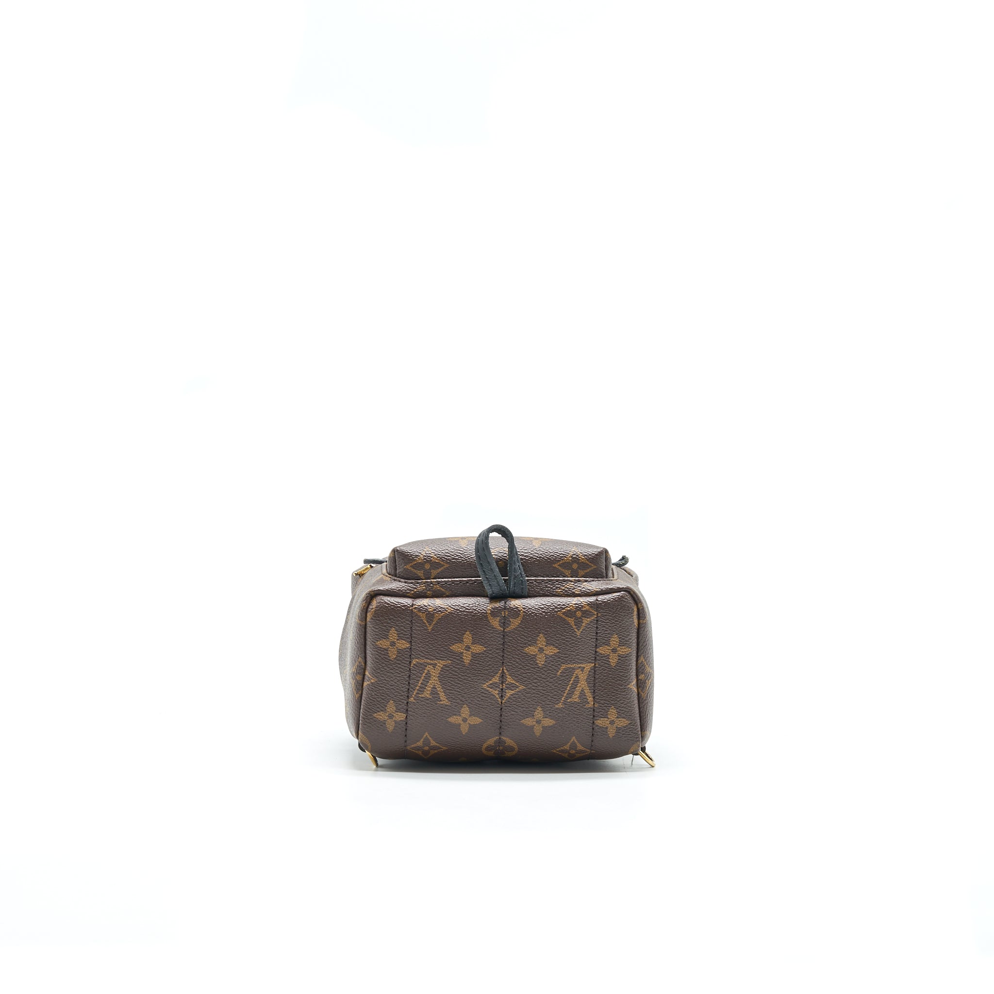 LOUIS VUITTON PALM SPRINGS MINI MONOGRAM CANVAS