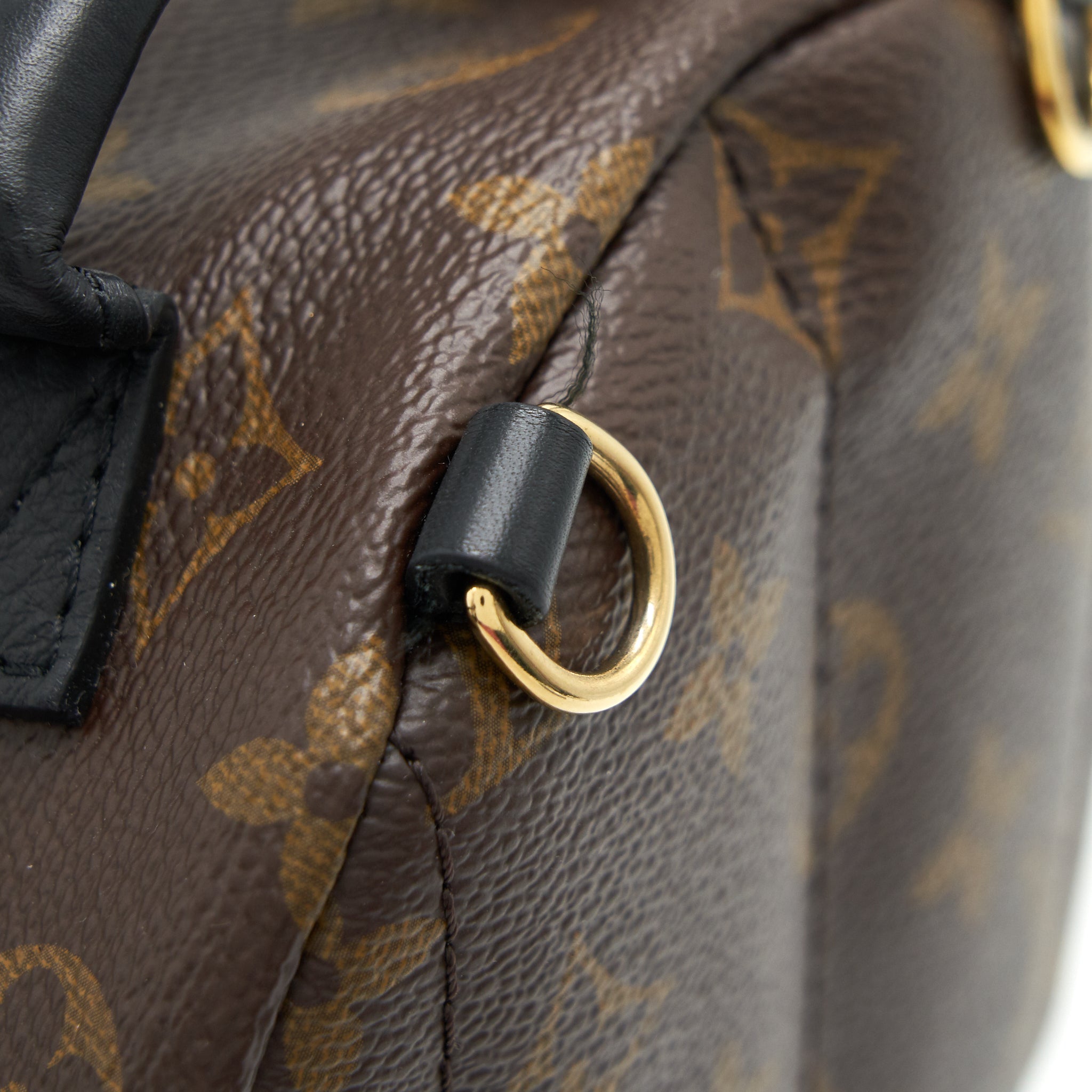 LOUIS VUITTIN PALM SPRING BACKPACK MINI MONOGRAM CANVAS