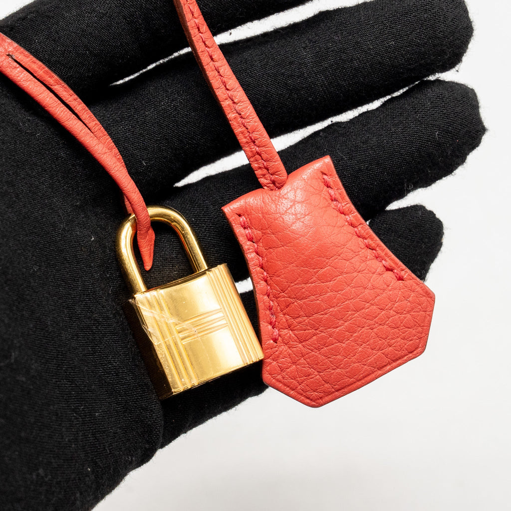HERMES BIRKIN 40 CLEMENCE BOUGAINVILLIER GHW