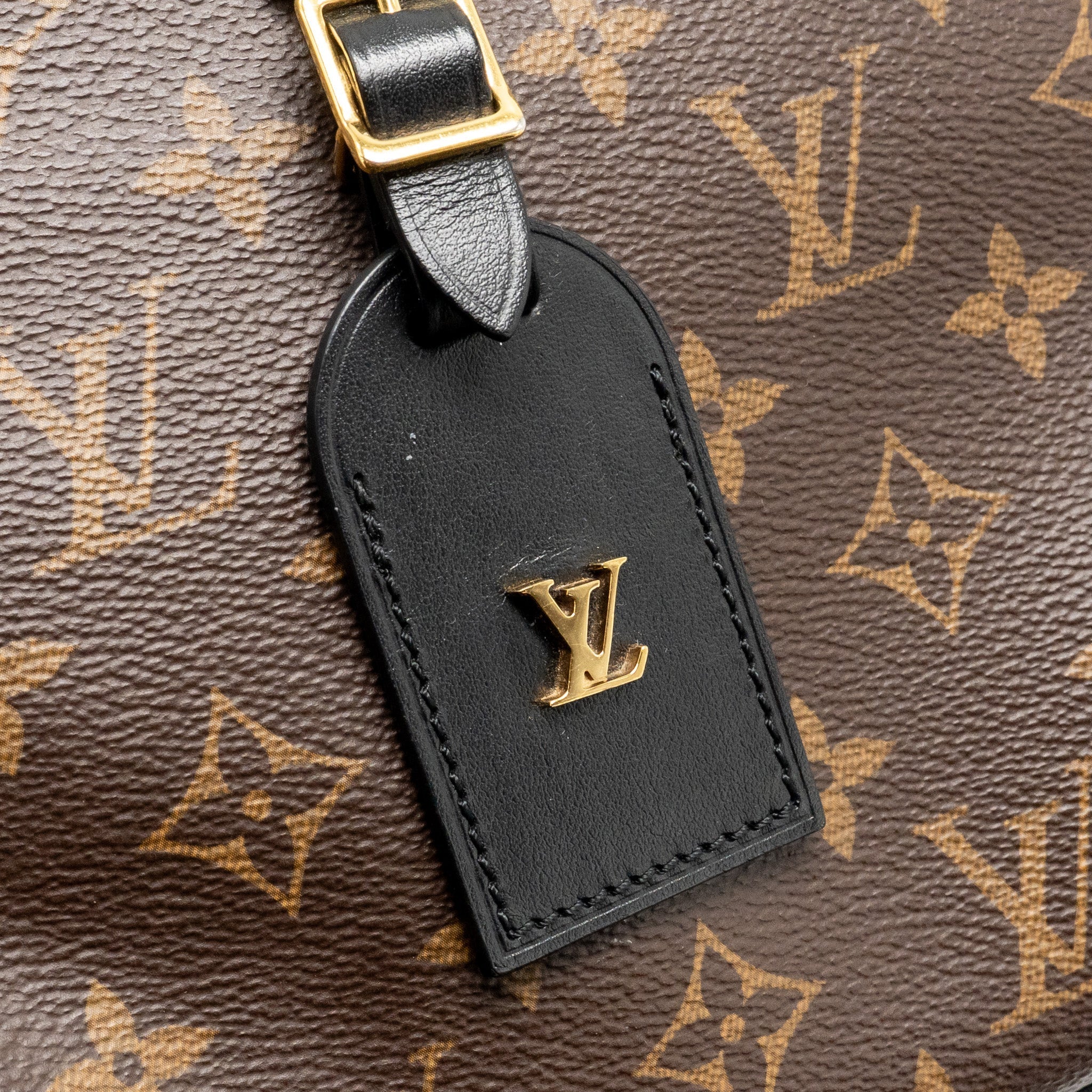 LOUIS VUITTON ODEON PM BAG MONOGRAM CANVAS BLACK GHW