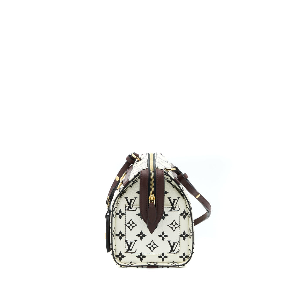 LOUIS VUITTON SPEEDY AMAZON PM BAG MONOGRAM CANVAS MULTICOLOURED GHW