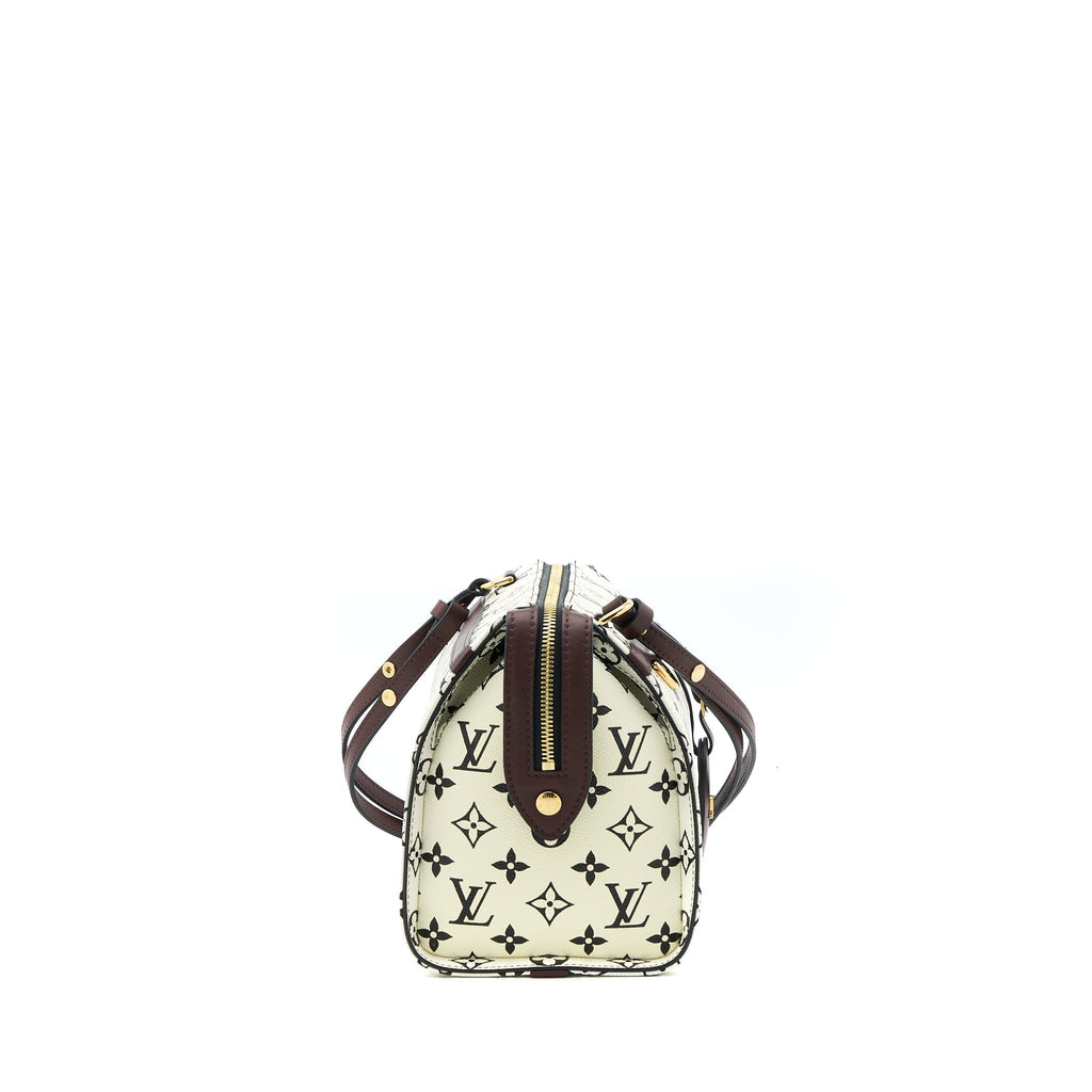 LOUIS VUITTON SPEEDY AMAZON PM BAG MONOGRAM CANVAS MULTICOLOURED GHW