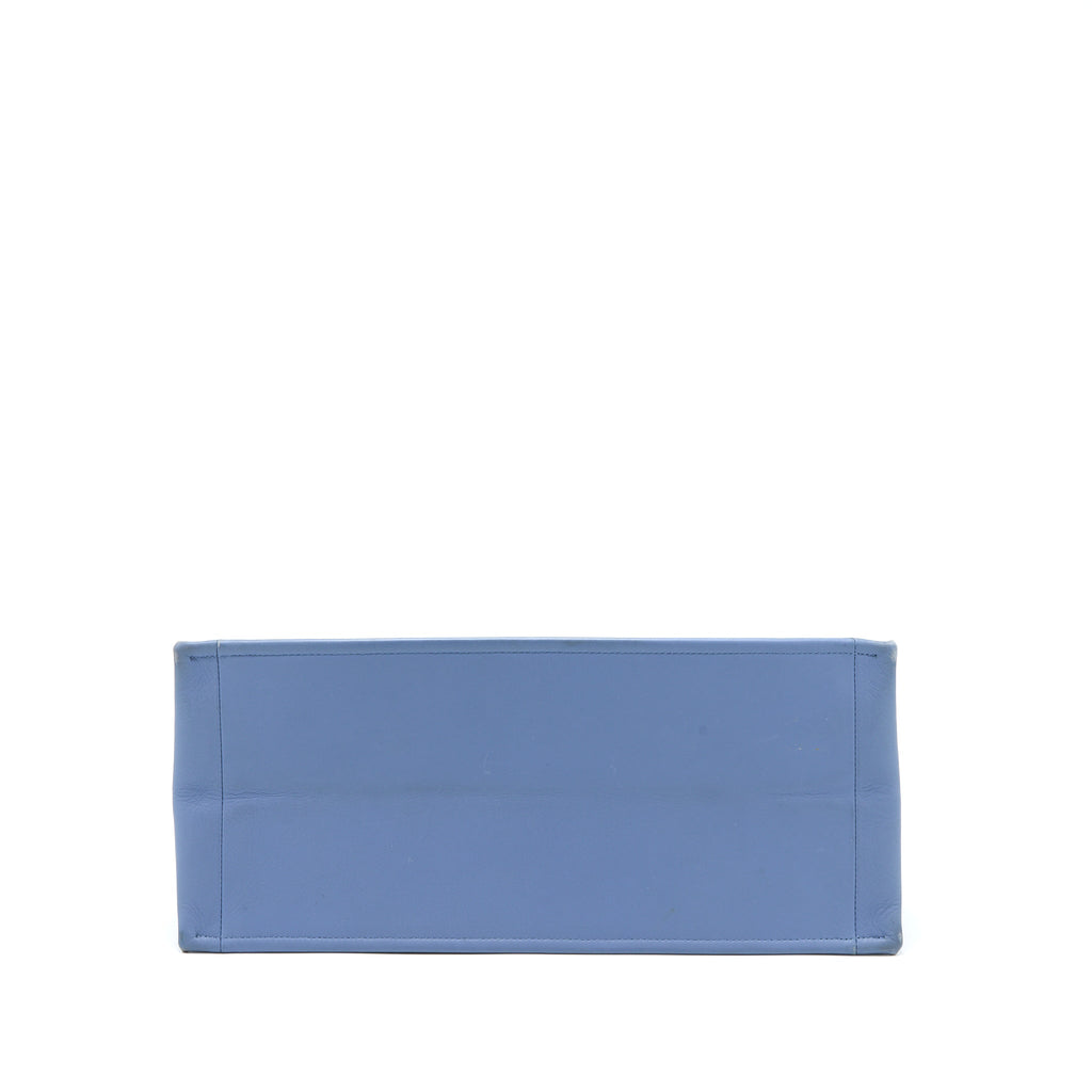DIOR LARGE BOOK TOTE LIGHT BLUE