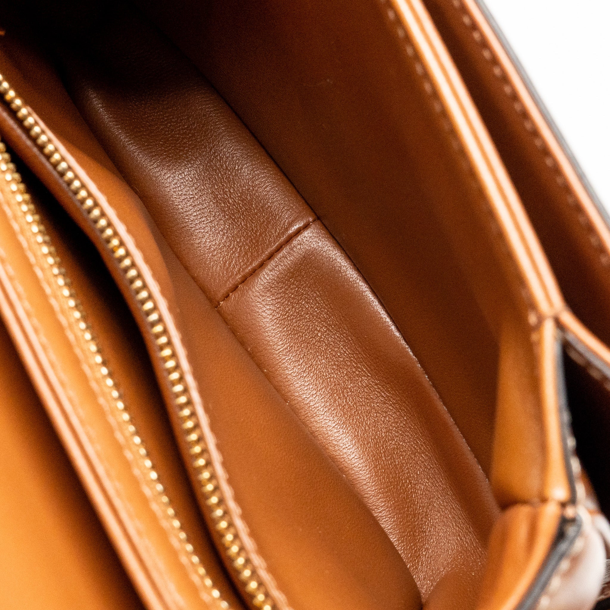CELINE TEEN TRIOMPHE BAG TRIOMPHE CALFSKIN/CANVAS BROWN/MULTICOLOOUR GHW