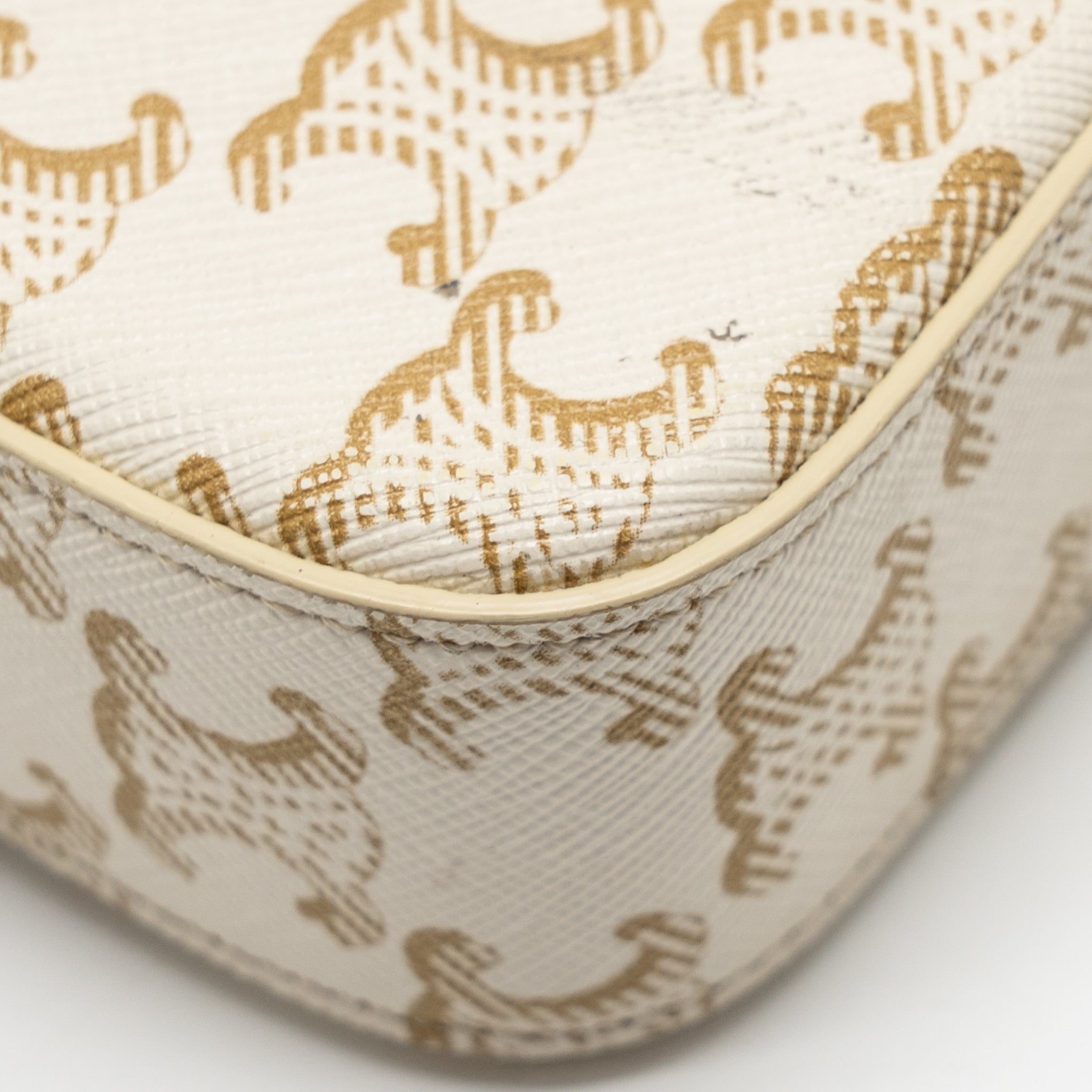 CELINE TRIOMPHE SHOUDER BAG TRIOMPHE CANVAS / CALFSKIN WHITE GHW