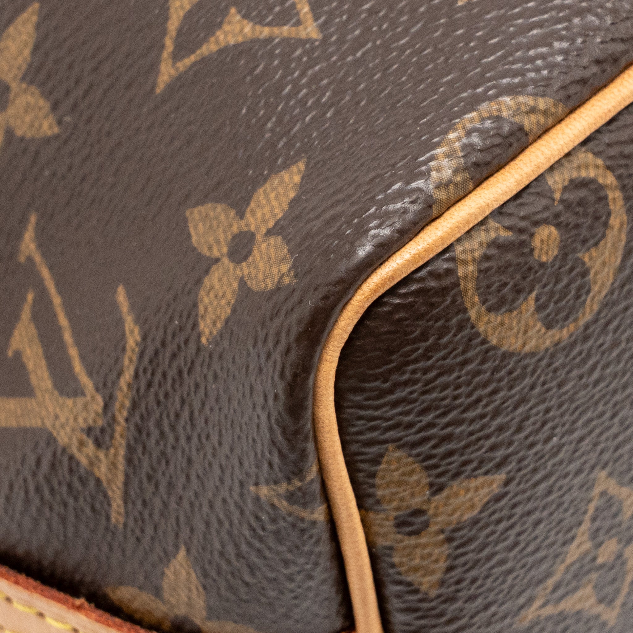 LOUIS VUITTON NANO NOE MONOGRAM CANVAS GHW
