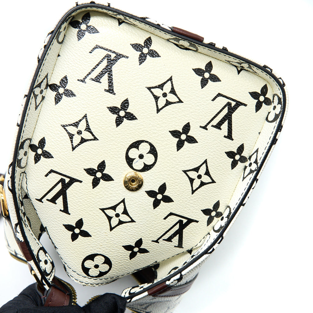 LOUIS VUITTON SPEEDY AMAZON PM BAG MONOGRAM CANVAS MULTICOLOURED GHW