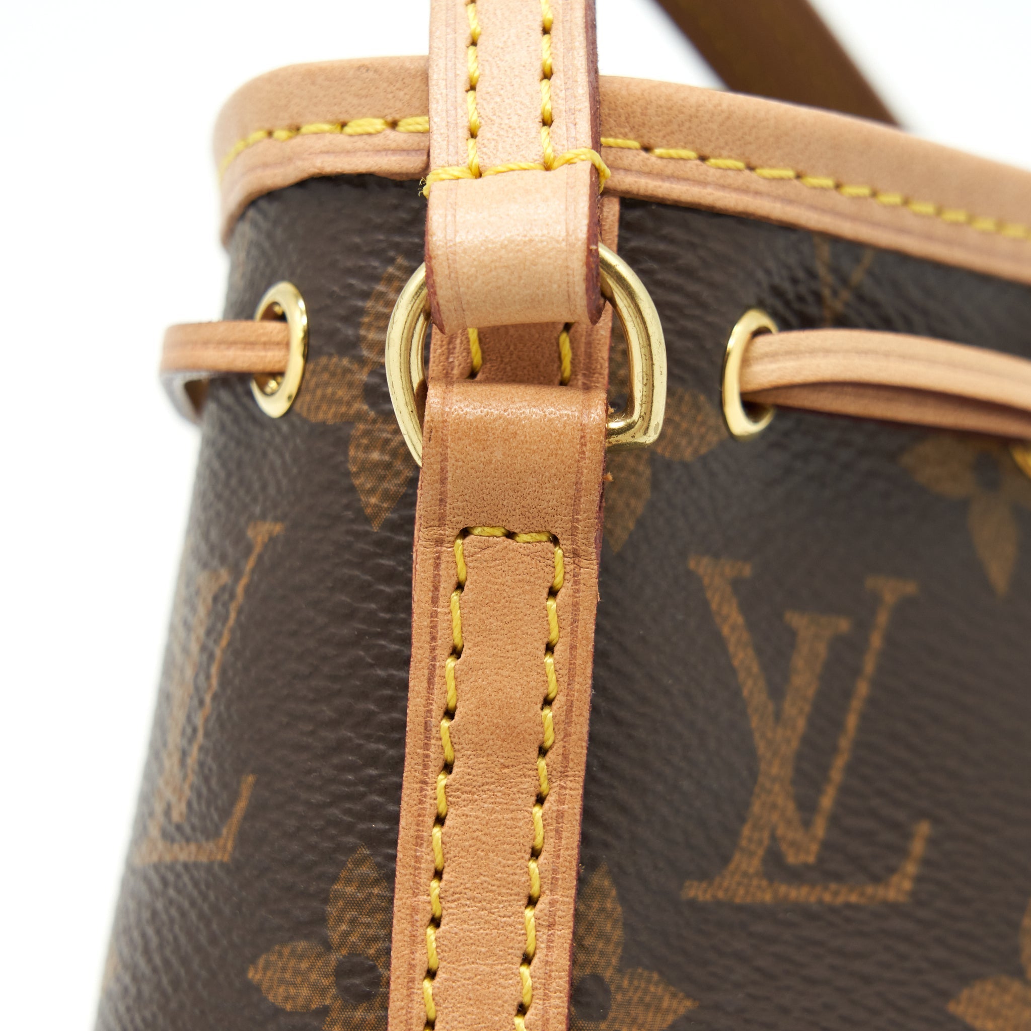 LOUIS VUITTON NANO NOE MONOGRAM CANVAS