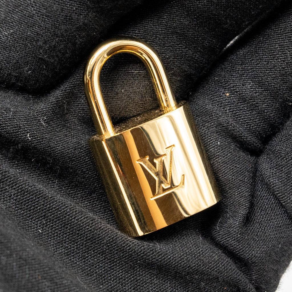 LOUIS VUITTON ALMA BB DAMIER EBENE GHW