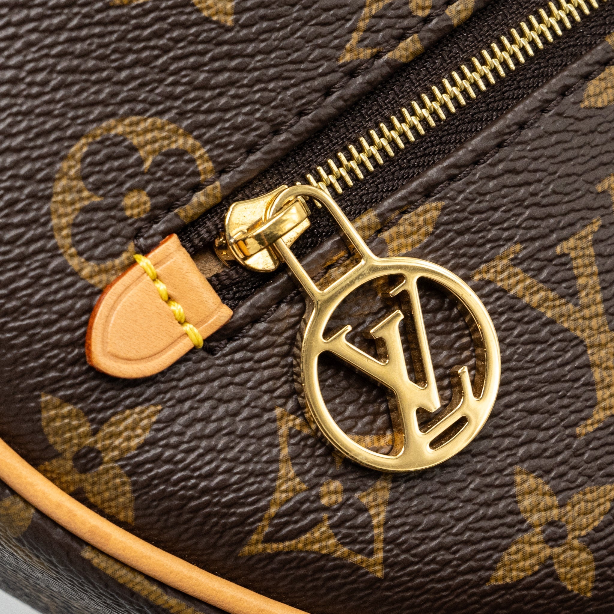 LOUIS VUITTON LOOP BAG MONOGRAM CANVAS GHW