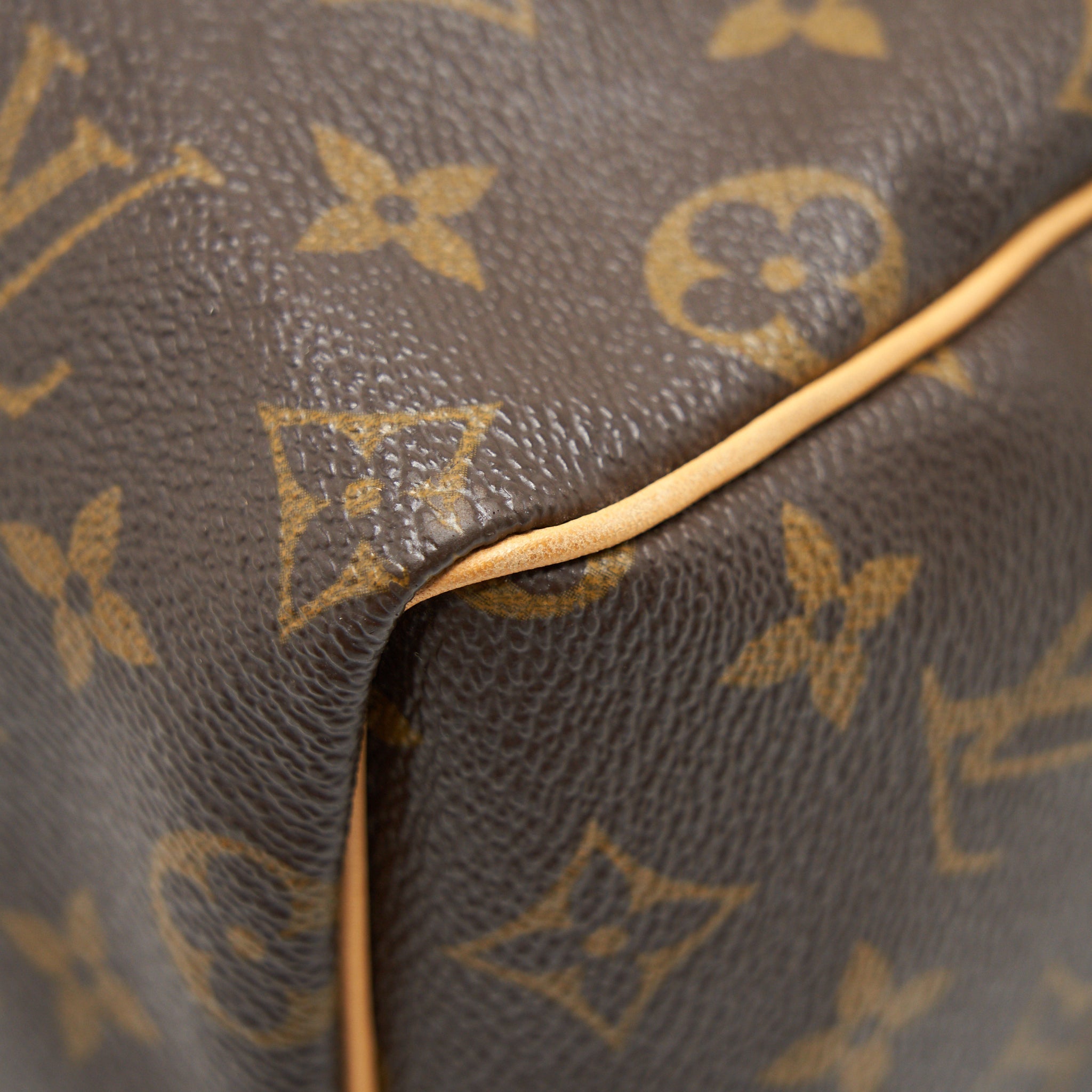 LOUIS VUITTON SPEEDY 25 MONOGRAN CANVAS
