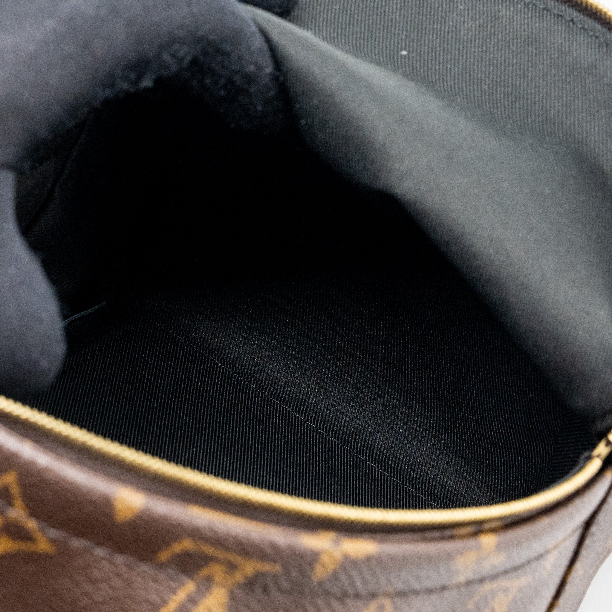 LOUIS VUITTON PALM SPRING MINI BACKPACK MONOGRAM CANVAS GHW