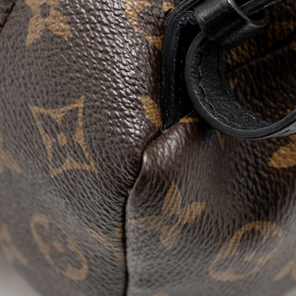 LOUIS VUITTON PALM SPRING PM BACKPACK MONOGRAM CANVAS GHW