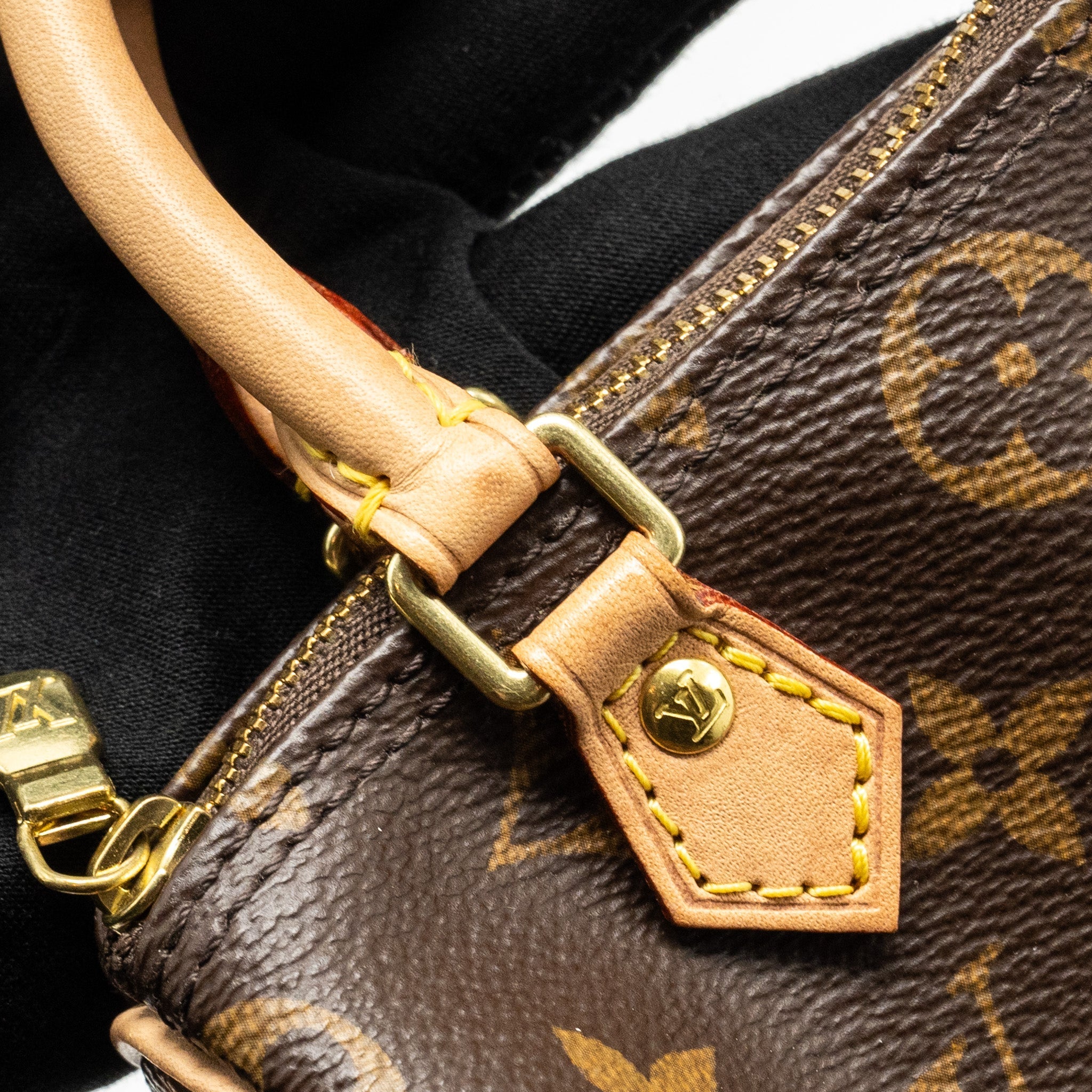 LOUIS VUITTON NANO SPEEDY MONOGRAM CANVAS GHW (OLD VERSION)