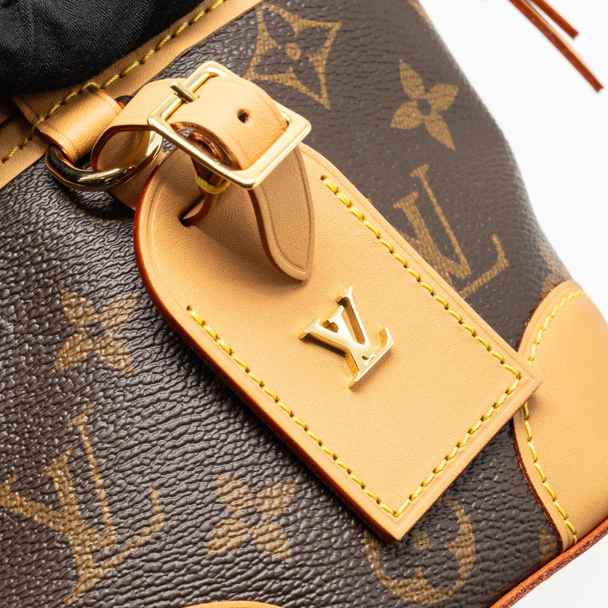 LOUIS VUITTON NOE PURSE MONOGRAM CANVAS GHW