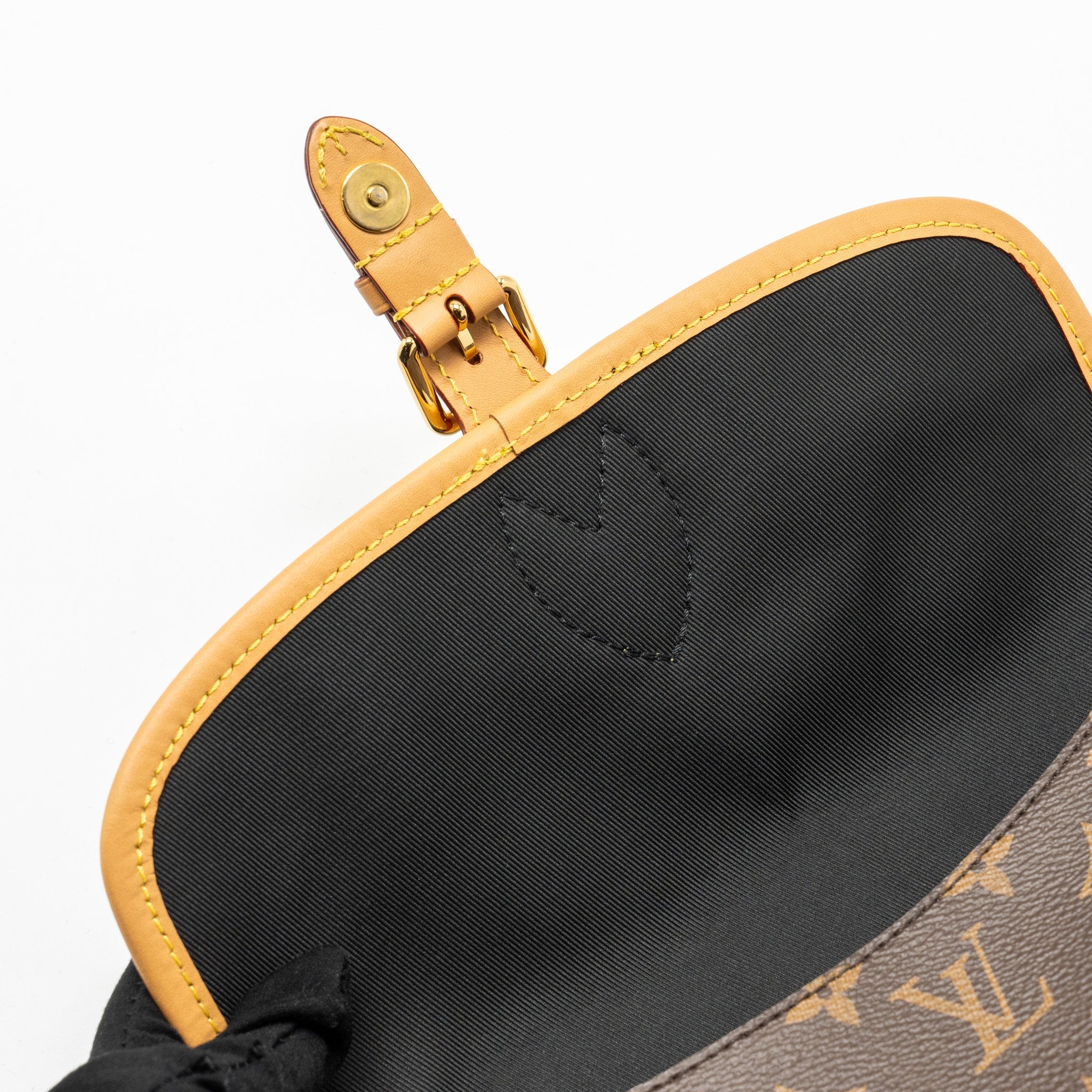 LOUIS VUITTON DIANE BAG WITH JACQUARD STRAP MONOGRAM CANVAS GHW