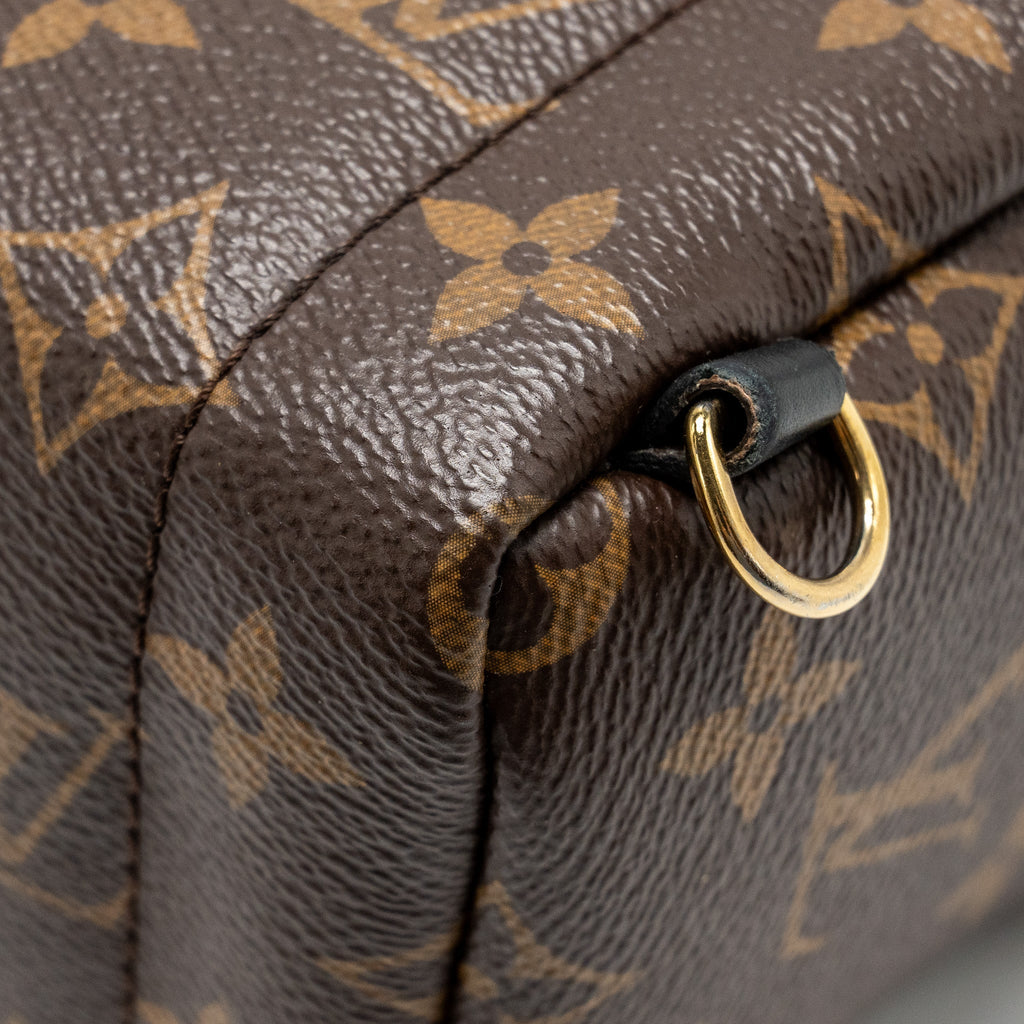 LOUIS VUITTON MINI PALM SPRING BACKPACK MONOGRAM CANVAS GHW