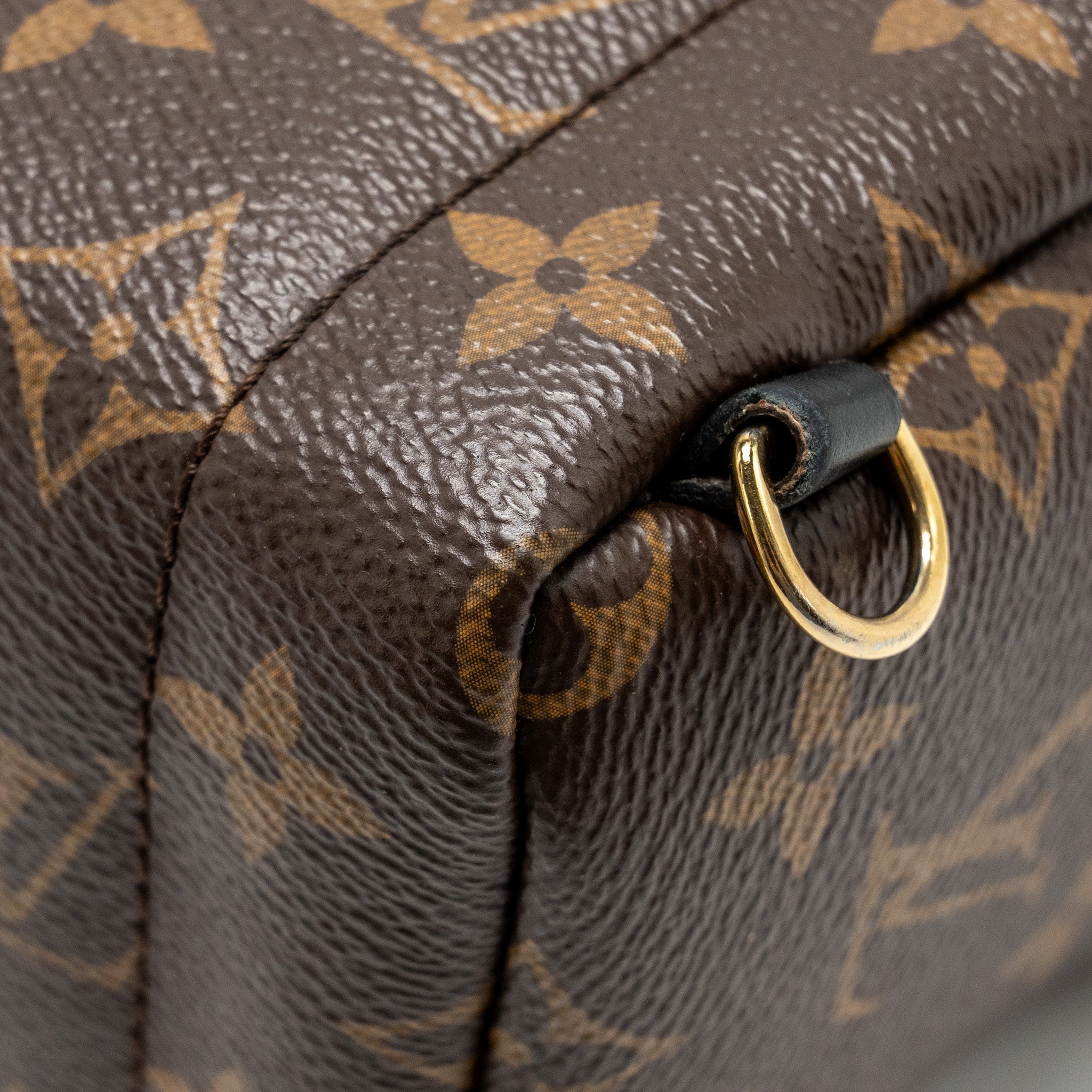 LOUIS VUITTON MINI PALM SPRING BACKPACK MONOGRAM CANVAS GHW