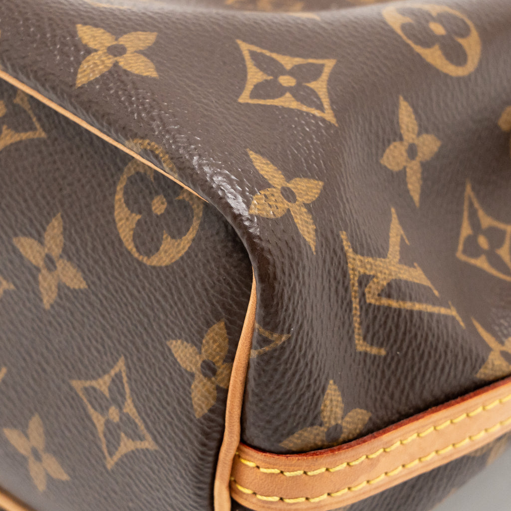 LOUIS VUITTON NANO NOE MONOGRAM CANVAS GHW