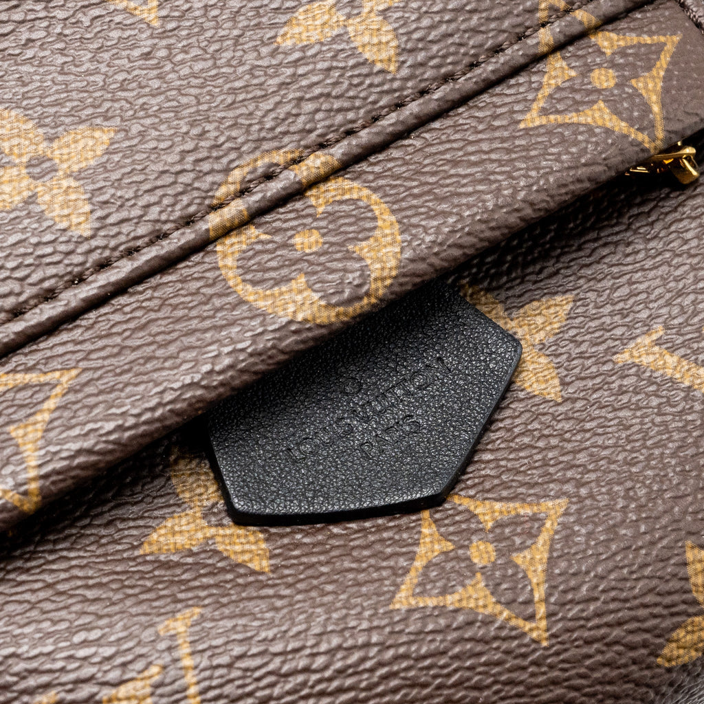 LOUIS VUITTON MINI PALM SPRING BACKPACK MONOGRAM CANVAS GHW