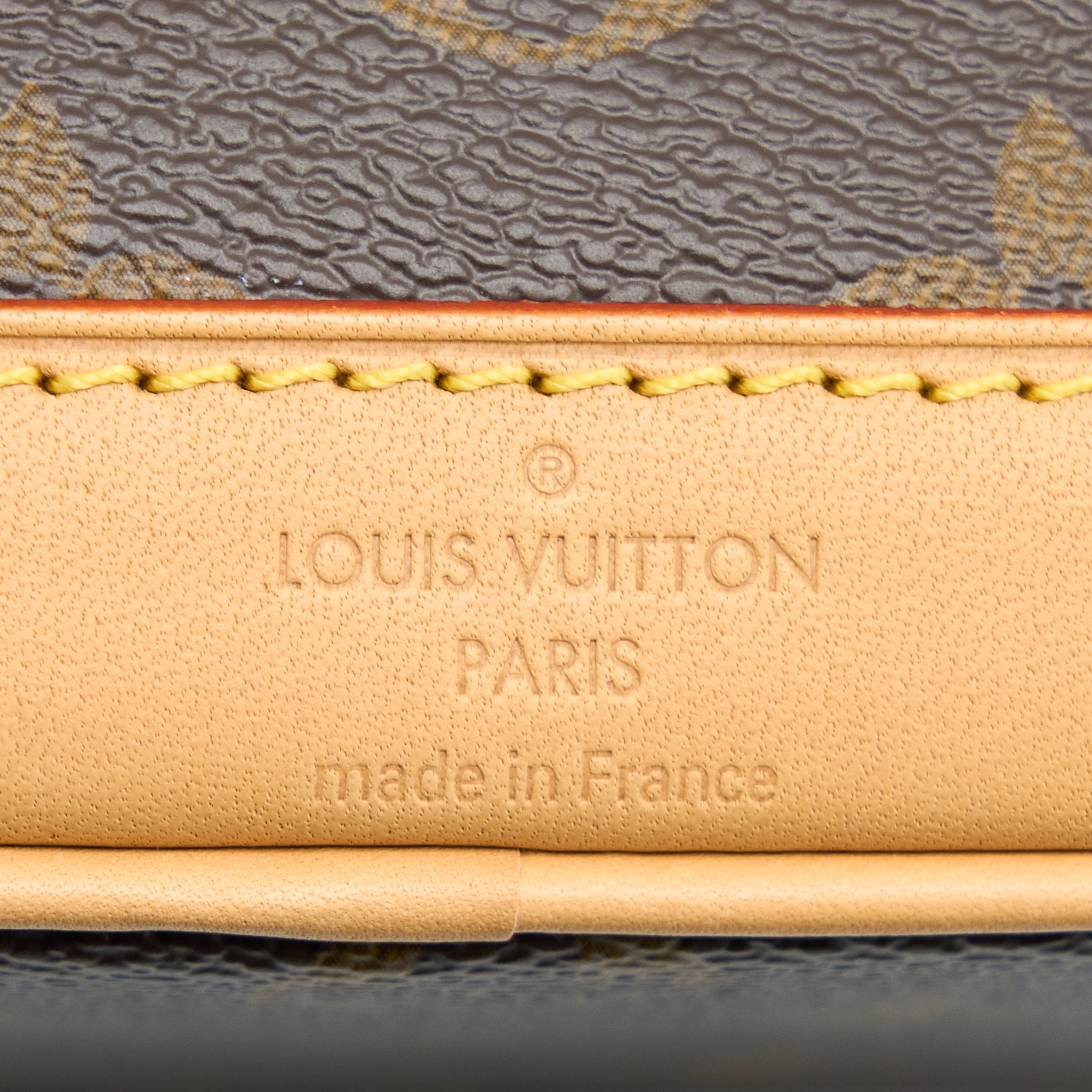 LOUIS VUITTON NANO NOE MONOGRAM CANVAS GHW