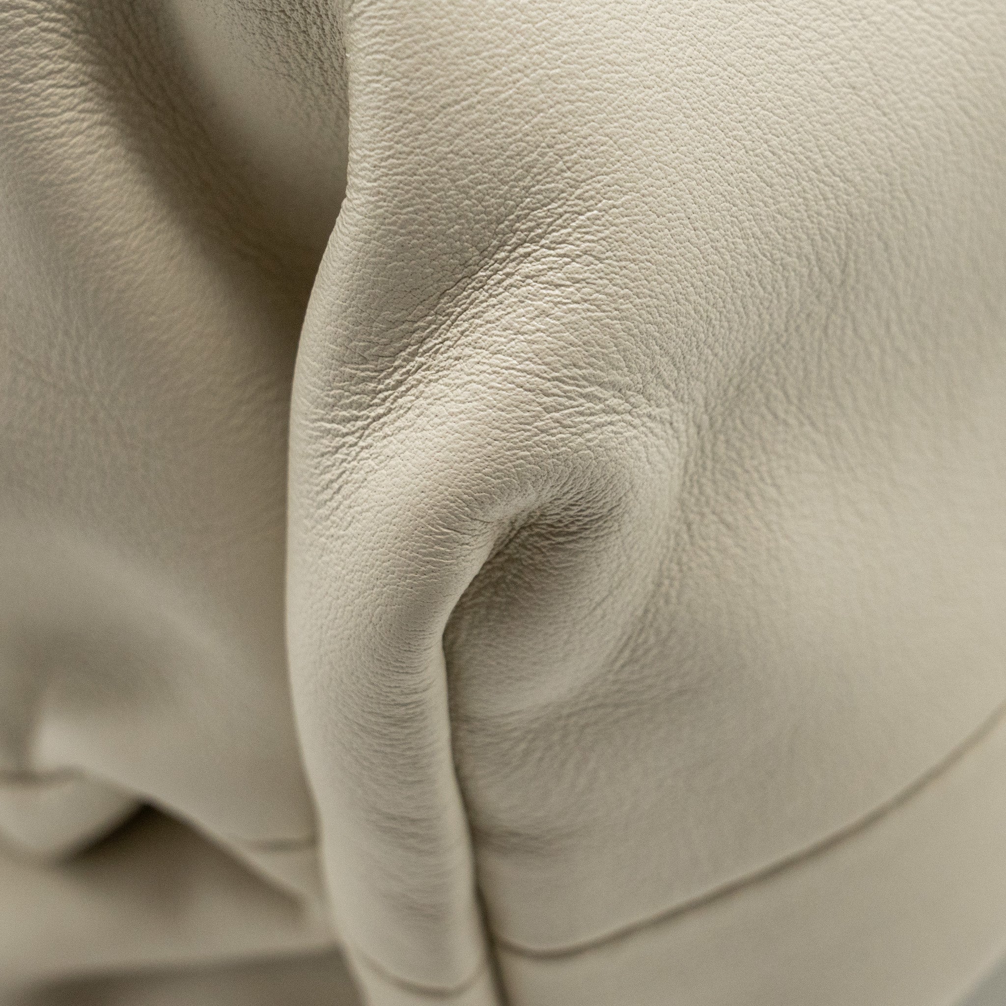 BOTTEGA VENETA THE POUCH CALFSKIN WHITE GHW
