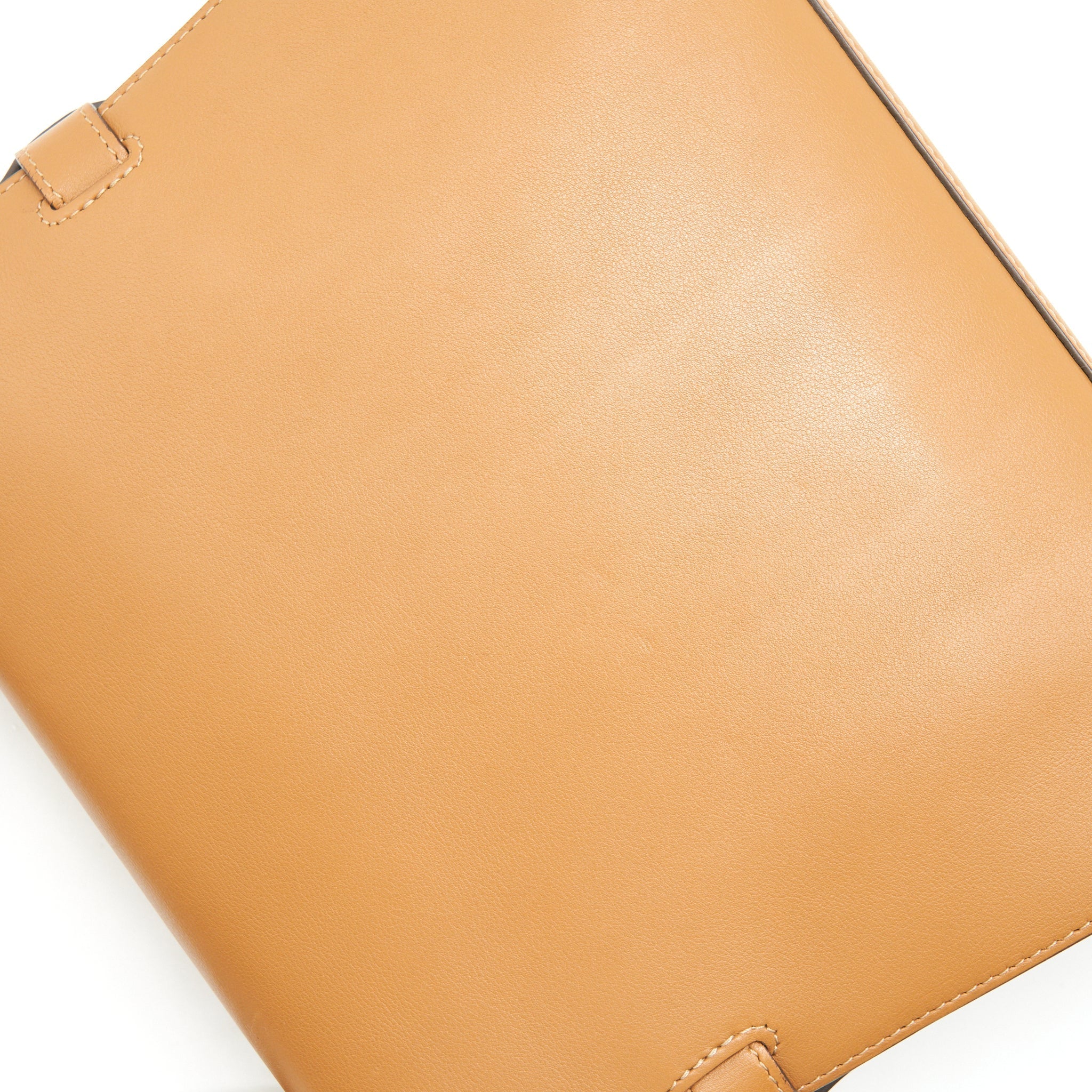 DELVAUX TEMPETE TOTE BAG CARAMEL WITH LGHW