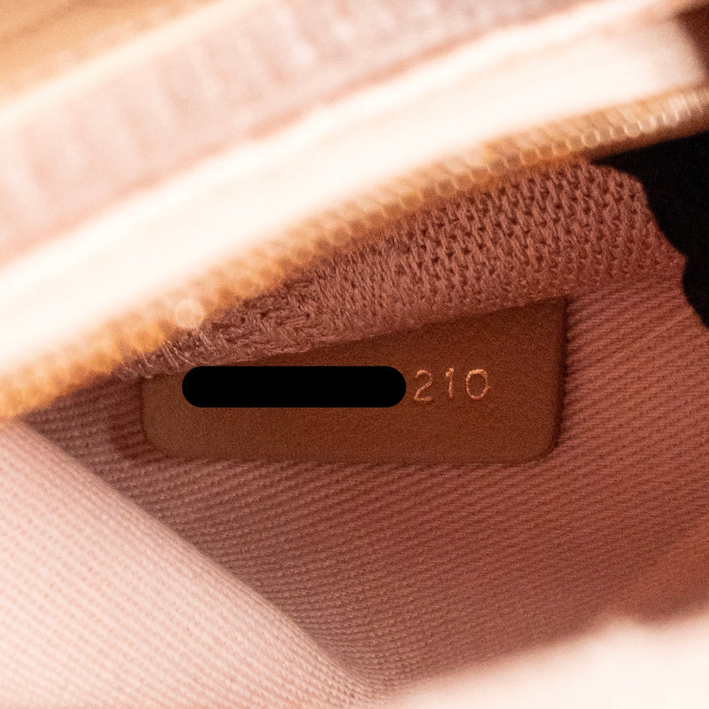 DIOR MEDIUM LADY D-LITE BAG CANNAGE EMBROIDERY ROSEWOOD RGHW