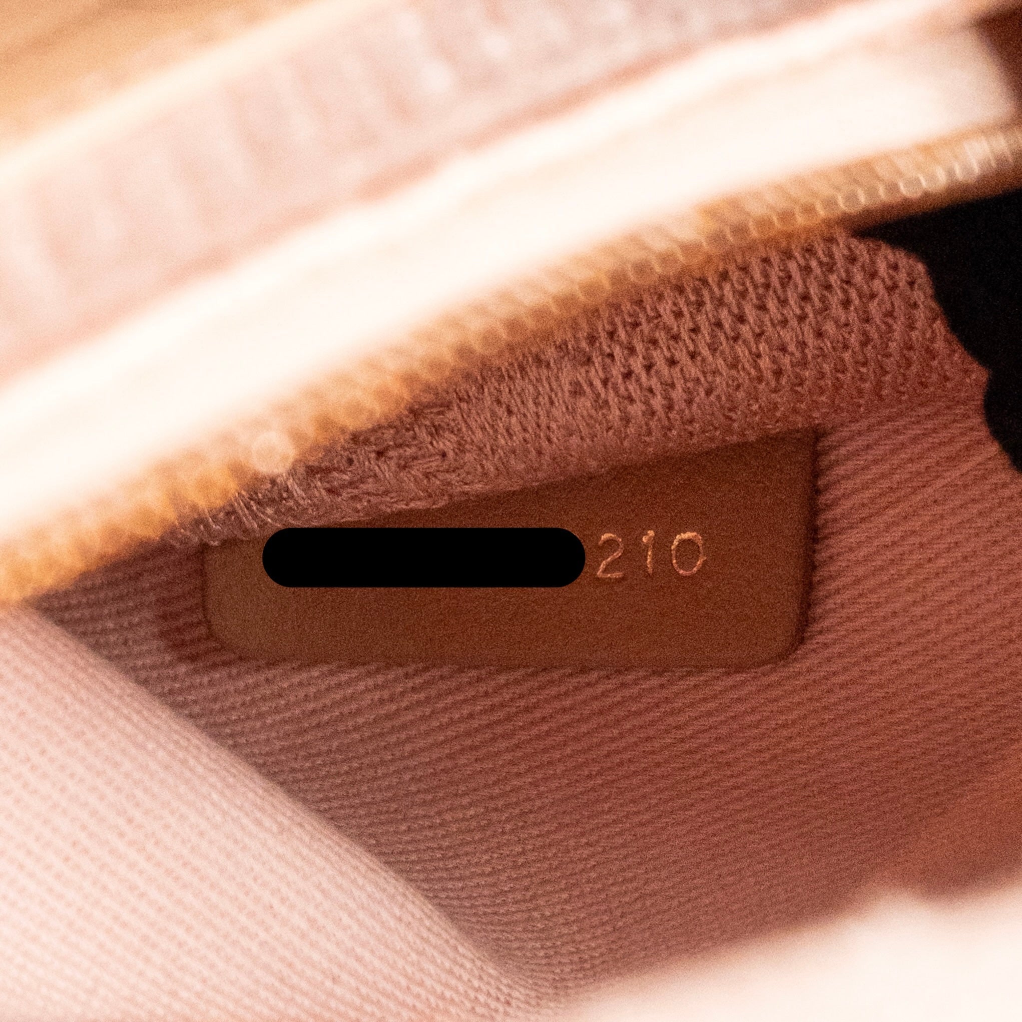 DIOR MEDIUM LADY D-LITE BAG CANNAGE EMBROIDERY ROSEWOOD RGHW