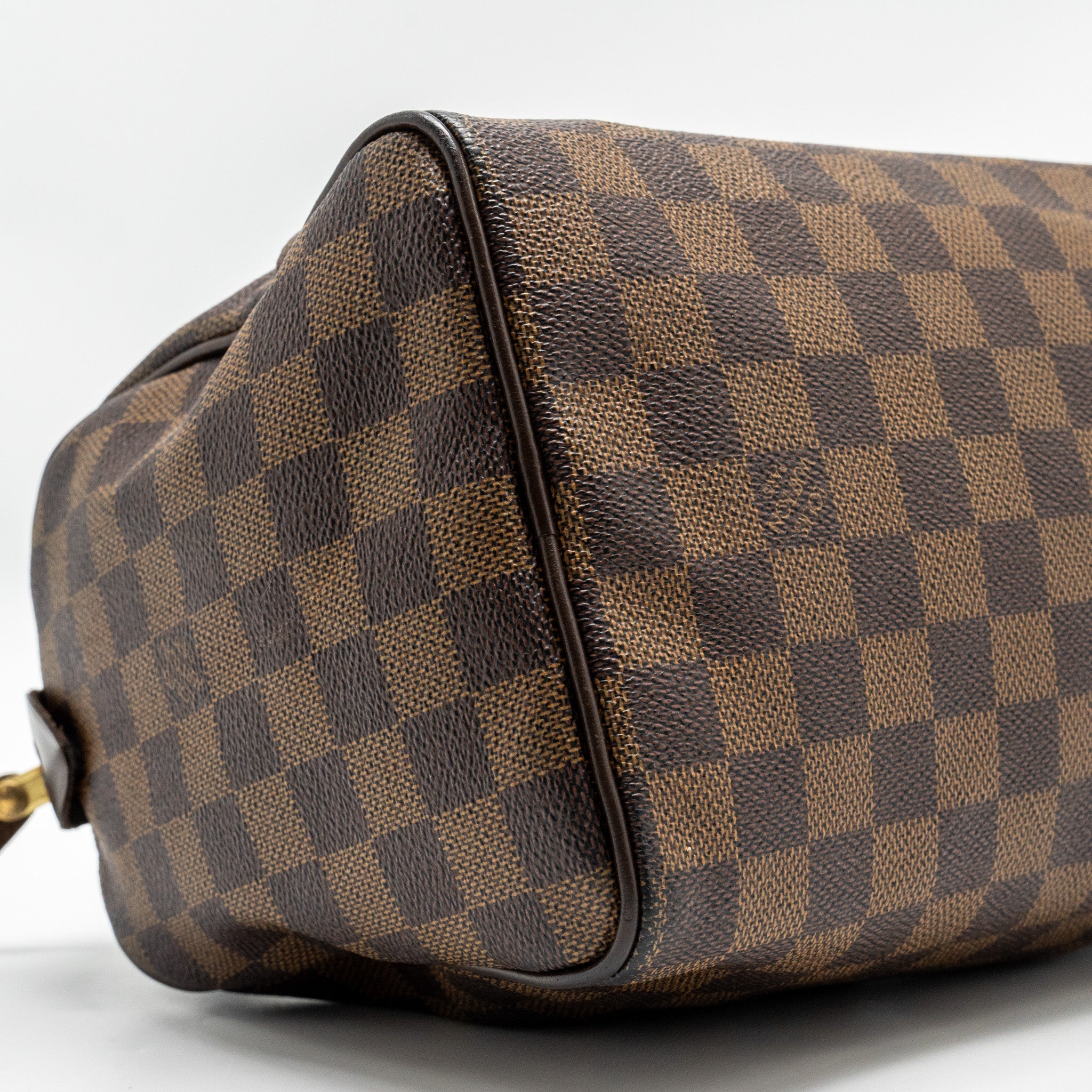 LOUIS VUITTON SPEEDY 25 DAMIER EBENE CANVAS GHW