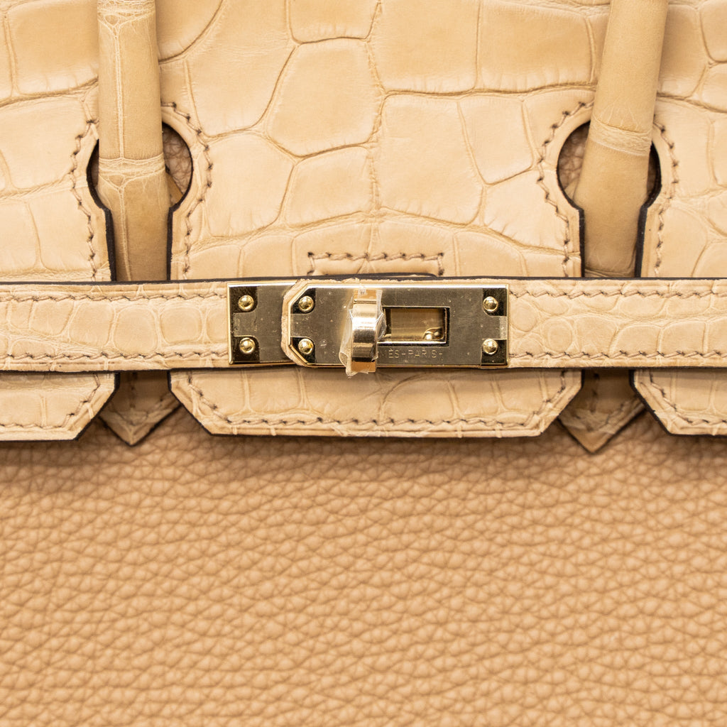 HERMES TOUCH BIRKIN 25 ALLIGATOR MISSISSIPPIENSIS/TOGO CHAI LGHW