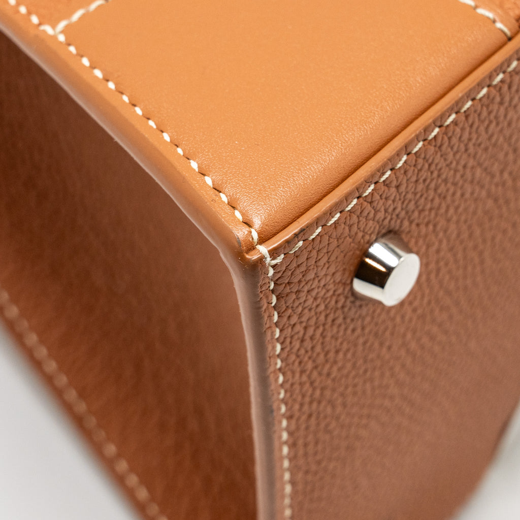 GOYARD STRUCTURE SAIGON PM BAG CALFSKIN TAN SHW