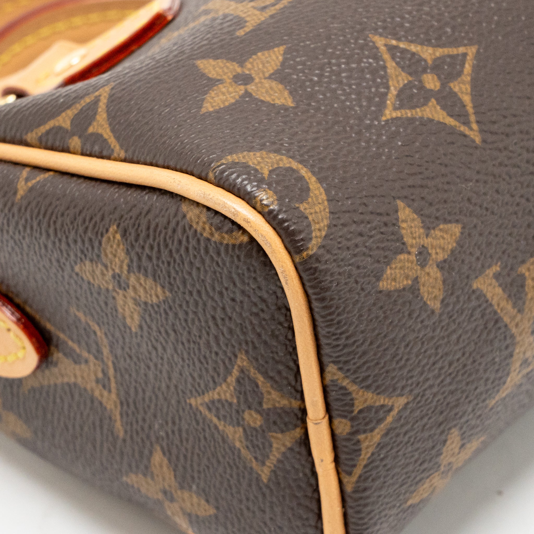 LOUIS VUITTON NANO SPEEDY MONOGRAM CANVAS GHW