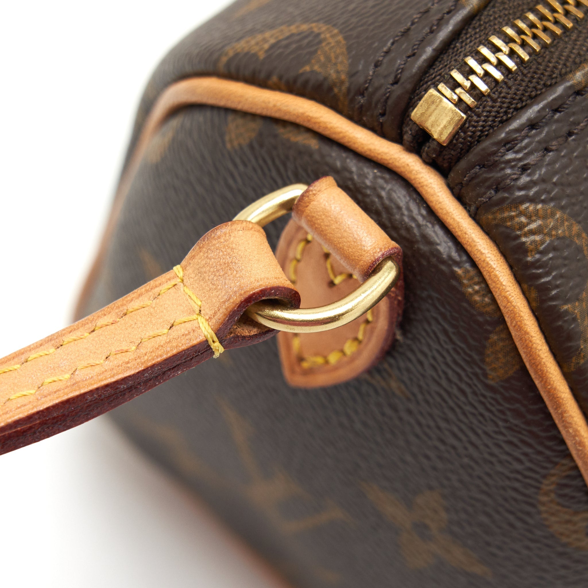 LOUIS VUITTON NANO SPEEDY MONOGRAM