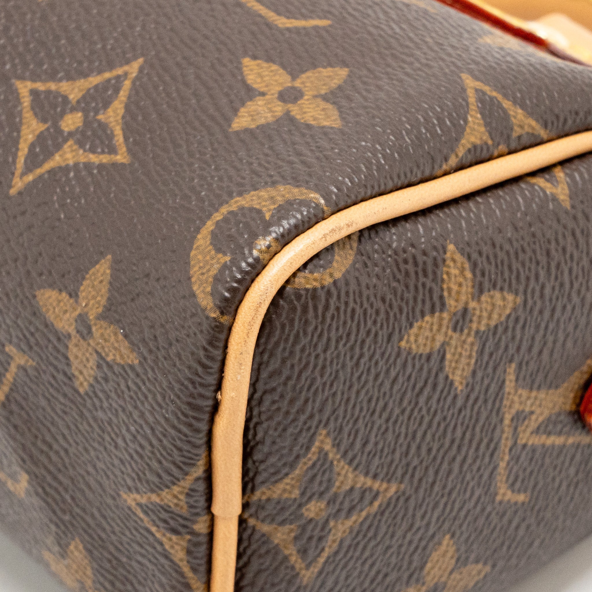 LOUIS VUITTON NANO SPEEDY MONOGRAM CANVAS GHW