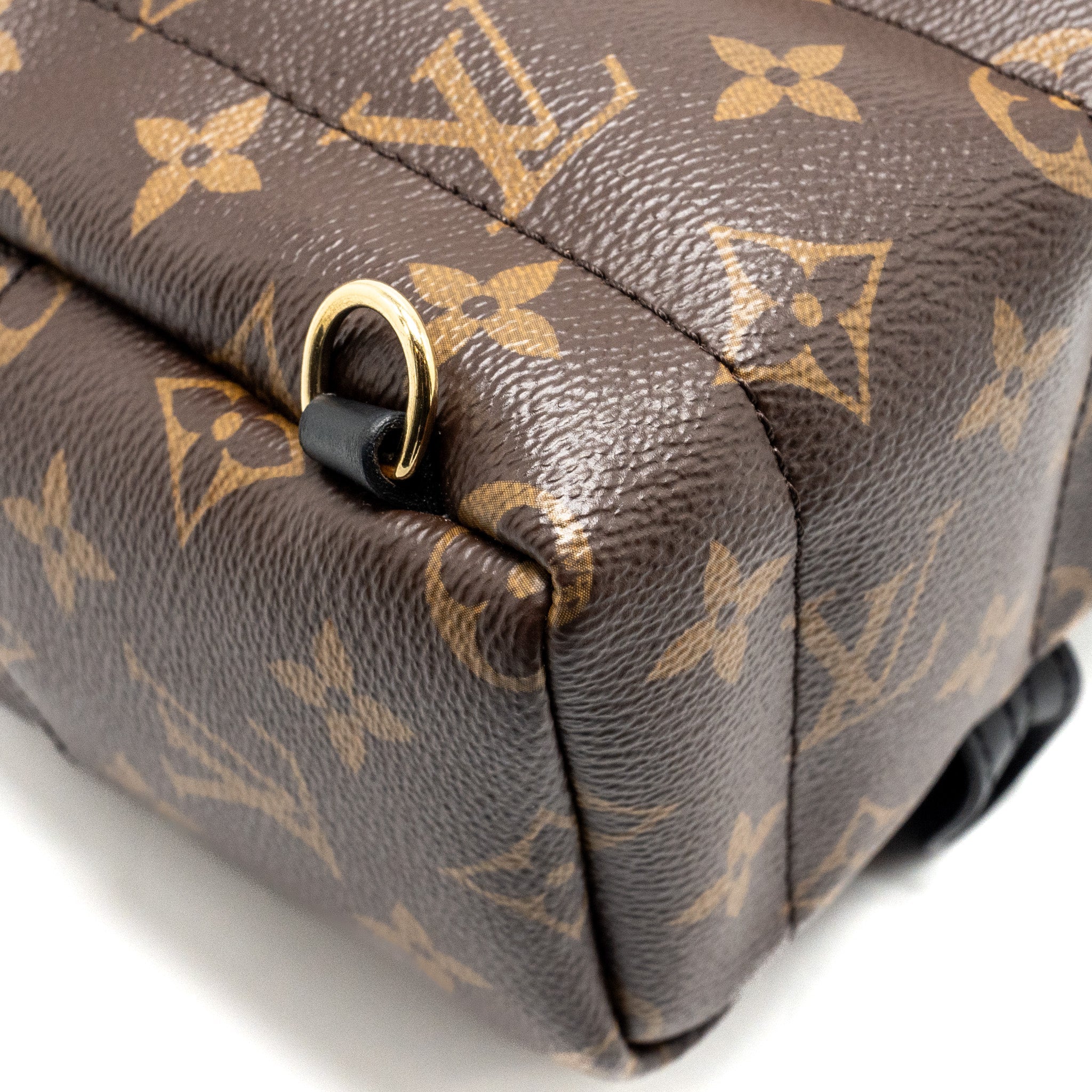 LOUIS VUITTON PALM SPRING MINI BACKPACK MONOGRAM CANVAS