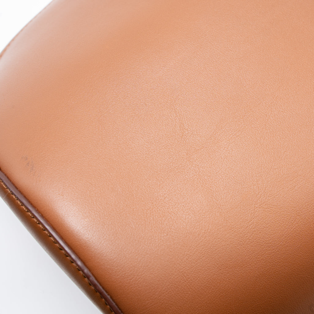 CELINE NANO BUCKET BAG BROWN SHW