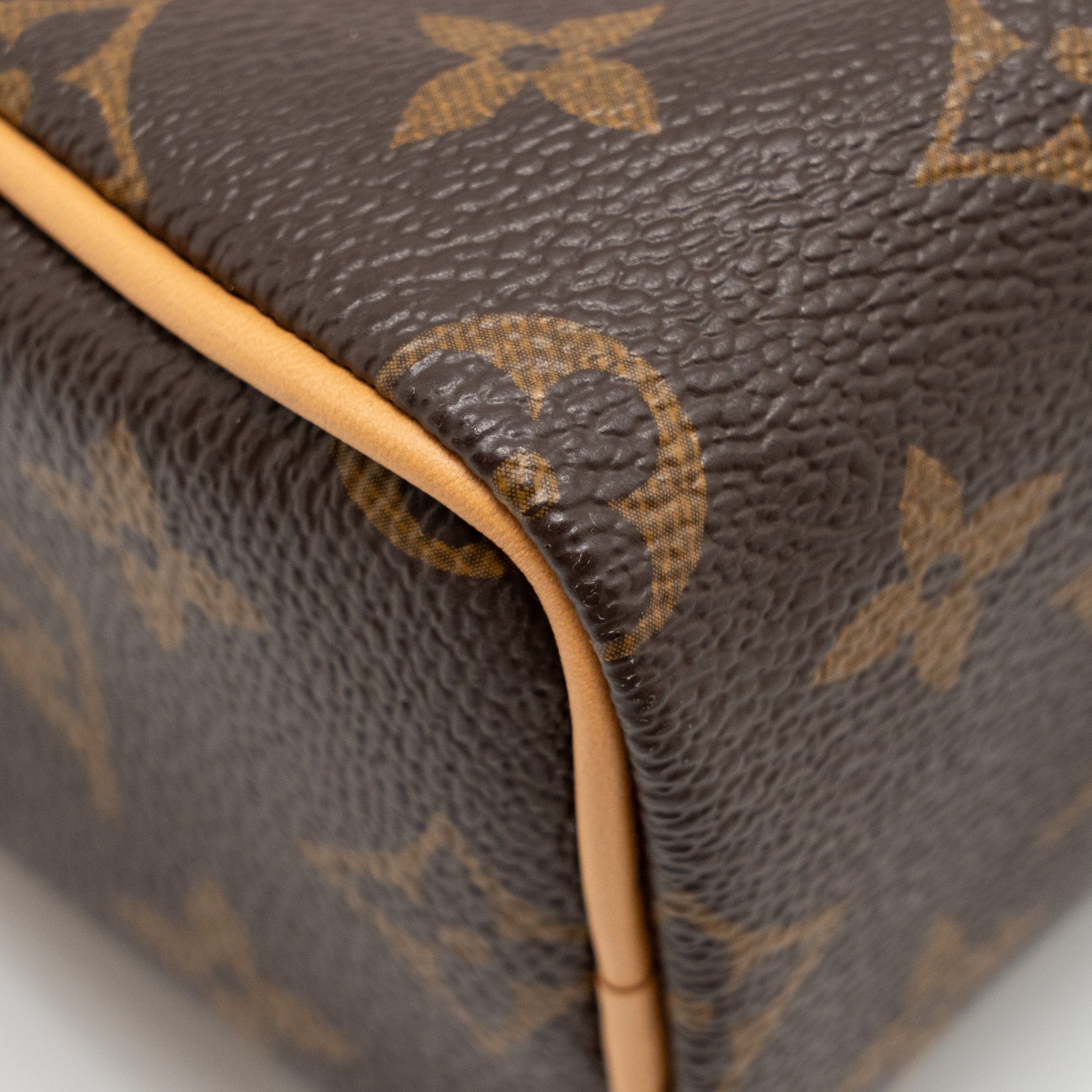 LOUIS VUITTON NANO SPEEDY MONOGRAM CANVAS GHW