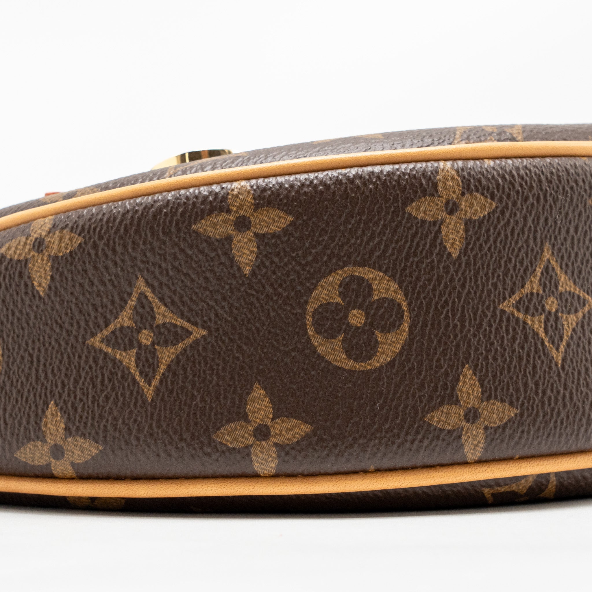 LOUIS VUITTON LOOP BAG MONOGRAM CANVAS GHW