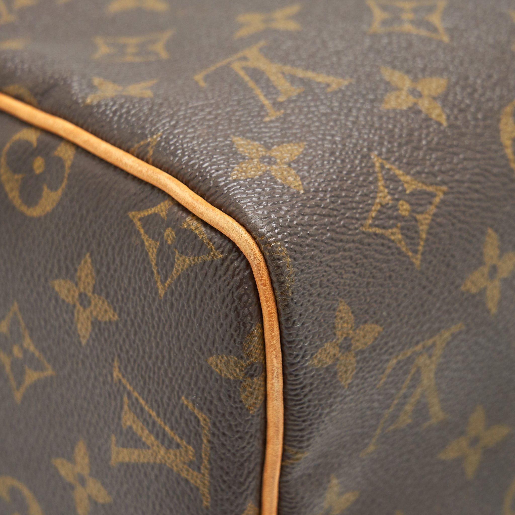LOUIS VUITTON SPEEDY 30 IN MONOGRAM CANVAS